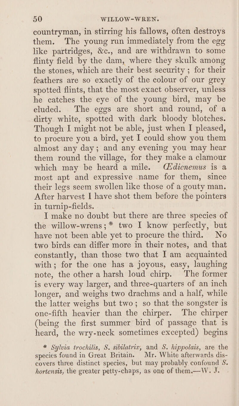 countryman, in stirring his fallows, often destroys them. The young run immediately from the egg like partridges, &amp;c., and are withdrawn to some flinty field by the dam, where they skulk among the stones, which are their best security ; for their feathers are so exactly of the colour of our grey spotted flints, that the most exact observer, unless he catches the eye of the young bird, may be eluded. The eggs are short and round, of a dirty white, spotted with dark bloody blotches. Though I might not be able, just when I pleased, to procure you a bird, yet I could show you them almost any day; and any evening you may hear them round the village, for they make a clamour which may be heard a mile. Cidicnemus is a most apt and expressive name for them, since their lees seem swollen like those of a gouty man. After harvest I have shot them before the pointers in turnip-fields. IT make no doubt but there are three species of the willow-wrens;* two I know perfectly, but have not been able yet to procure the third. No two birds can differ more in their notes, and that constantly, than those two that I am acquainted with; for the one has a joyous, easy, laughing note, the other a harsh loud chirp. The former is every way larger, and three-quarters of an inch longer, and weighs two drachms and a half, while the latter weighs but two; so that the songster is one-fifth heavier than the chirper. The chirper (being the first summer bird of passage that is heard, the wry-neck sometimes excepted) begins * Sylvia trochilis, S. sibilatrir, and S. hippolais, are the species found in Great Britain. Mr. White afterwards dis- covers three distinct species, but may probably confound S. hortensis, the greater petty-chaps, as one of them.—W. J.