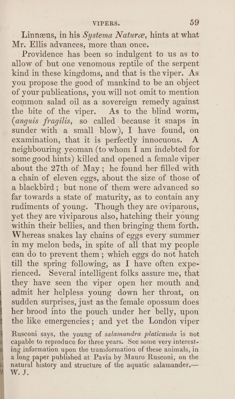 Linneus, in his Systema Nature, hints at what Mr. Ellis advances, more than once. Providence has been so indulgent to us as to allow of but one venomous reptile of the serpent kind in these kingdoms, and that is the viper. As you propose the good of mankind to be an object of your publications, you will not omit to mention common salad oil as a sovereign remedy against the bite of the viper. As to the blind worm, (anguis fragilis, so called because it snaps in _ sunder with a small blow), I have found, on examination, that it is perfectly innocuous. A neighbouring yeoman (to whom I am indebted for some good hints) killed and opened a female viper about the 27th of May; he found her filled with a chain of eleven eggs, about the size of those of a blackbird; but none of them were advanced so far towards a state of maturity, as to contain any rudiments of young. Though they are oviparous, yet they are viviparous also, hatching their young within their bellies, and then bringing them forth. Whereas snakes lay chains of eggs every summer in my melon beds, in spite of all that my people can do to prevent them ; which eggs do not hatch till the spring following, as I have often expe- rienced. Several intelligent folks assure me, that they have seen the viper open her mouth and admit her helpless young down her throat, on sudden surprises, just as the female opossum does her brood into the pouch under her belly, upon the like emergencies; and yet the London viper Rusconi says, the young of salamandra platicauda is not capable to reproduce for three years. See some very interest- ing information upon the transformation of these animals, in a long paper published at Pavia by Mauro Rusconi, on the natural history and structure of the aquatic salamander.—