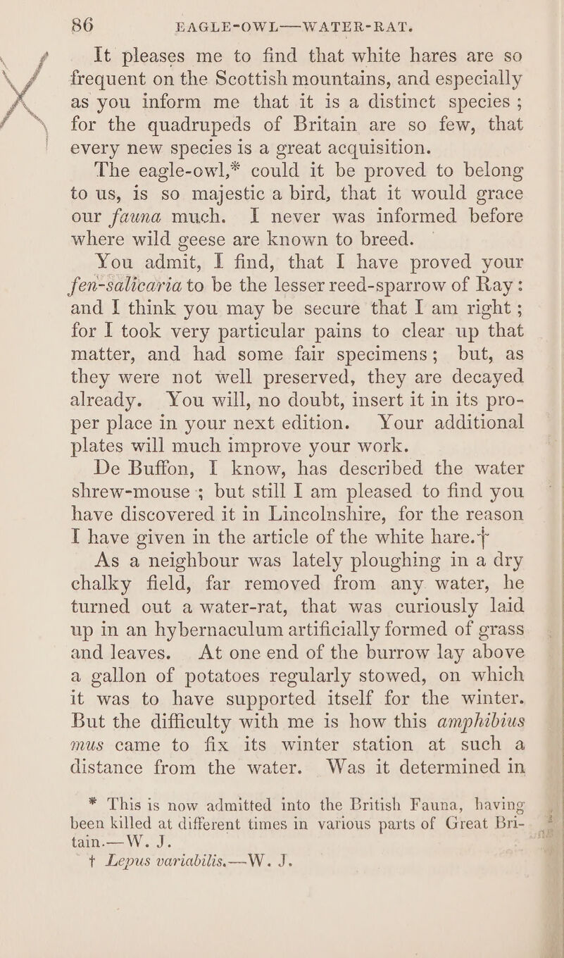 It pleases me to find that white hares are so frequent on the Scottish mountains, and especially as you inform me that it is a distinct species ; for the quadrupeds of Britain are so few, that every new species is a great acquisition. The eagle-owl,* could it be proved to belong to us, is so majestic a bird, that it would grace our fauna much. I never was informed before where wild geese are known to breed. You admit, I find, that I have proved your fen-salicaria to be the lesser reed-sparrow of Ray: and I think you may be secure that I am right; for I took very particular pains to clear up that matter, and had some fair specimens; but, as they were not well preserved, they are decayed already. You will, no doubt, insert it in its pro- per place in your next edition. Your additional plates will much improve your work. De Buffon, I know, has described the water shrew-mouse; but still I am pleased to find you have discovered it in Lincolnshire, for the reason I have given in the article of the white hare. As a neighbour was lately ploughing in a dry chalky field, far removed from any water, he turned out a water-rat, that was curiously laid up in an hybernaculum artificially formed of grass and leaves. At one end of the burrow lay above a gallon of potatoes regularly stowed, on which it was to have supported itself for the winter. But the difficulty with me is how this amphzbius mus came to fix its winter station at such a distance from the water. Was it determined in * This is now admitted into the British Fauna, having tain.—W. J. + Lepus variabilis—W. J.
