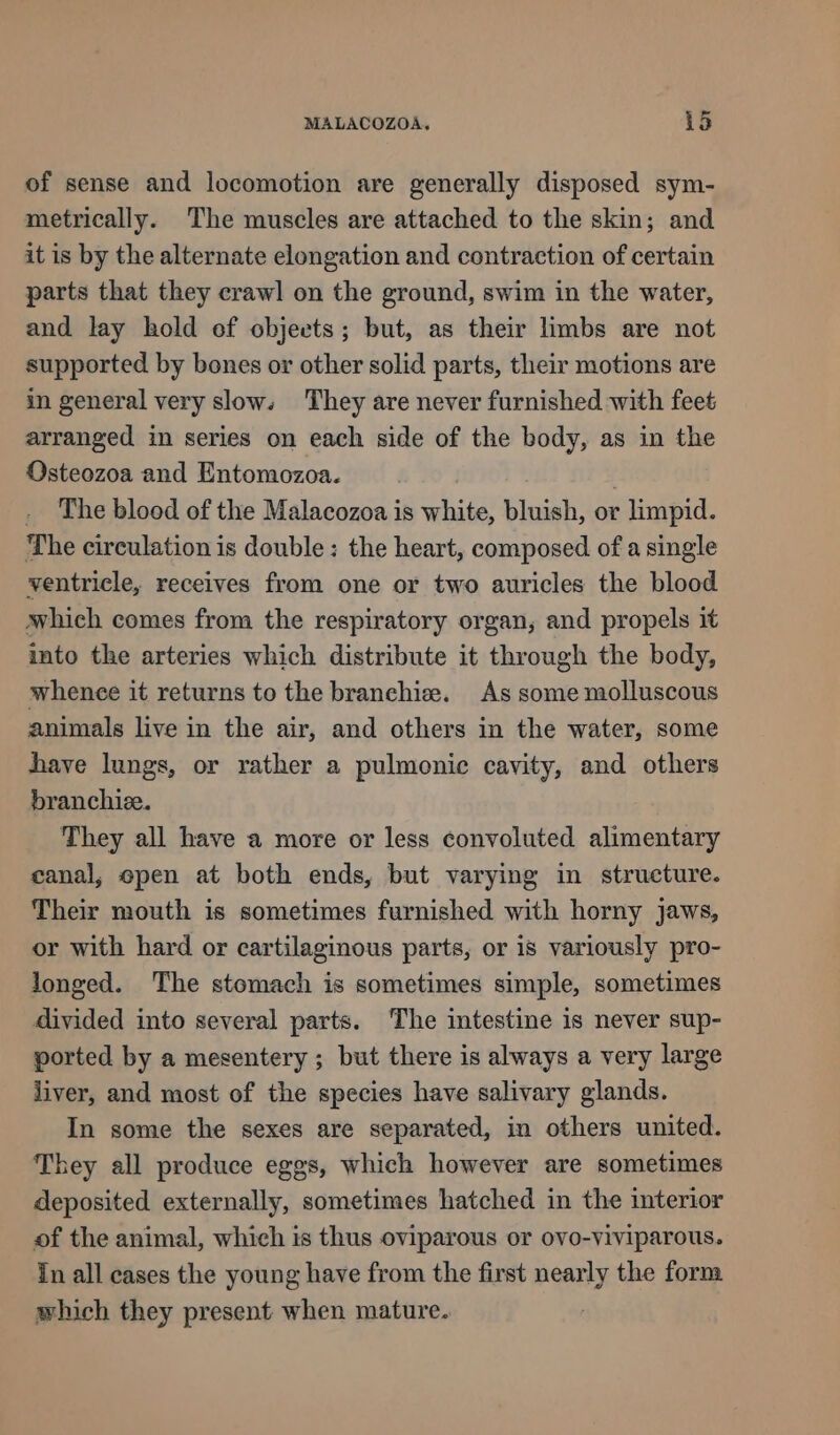 MALACOZOA. id of sense and locomotion are generally disposed sym- metrically. The muscles are attached to the skin; and it is by the alternate elongation and contraction of certain parts that they crawl on the ground, swim in the water, and lay hold of objects; but, as their limbs are not supported by bones or other solid parts, their motions are in general very slow. They are never furnished with feet arranged in series on each side of the body, as in the Osteozoa and Entomozoa. The blood of the Malacozoa is white, bluish, or » limpid. The circulation is double: the heart, composed of a single ventricle, receives from one or two auricles the blood which comes from the respiratory organ, and propels it into the arteries which distribute it through the body, whence it returns to the branchie. As some molluscous animals live in the air, and others in the water, some have lungs, or rather a pulmonic cavity, and others branchiee. They all have a more or less convoluted alimentary canal, epen at both ends, but varying in structure. Their mouth is sometimes furnished with horny jaws, or with hard or cartilaginous parts, or is variously pro- longed. The stomach is sometimes simple, sometimes divided into several parts. The intestine is never sup- ported by a mesentery ; but there is always a very large liver, and most of the species have salivary glands. In some the sexes are separated, in others united. They all produce eggs, which however are sometimes deposited externally, sometimes hatched in the interior of the animal, which is thus oviparous or ovo-viviparous. In all cases the young have from the first nearly the form which they present when mature.