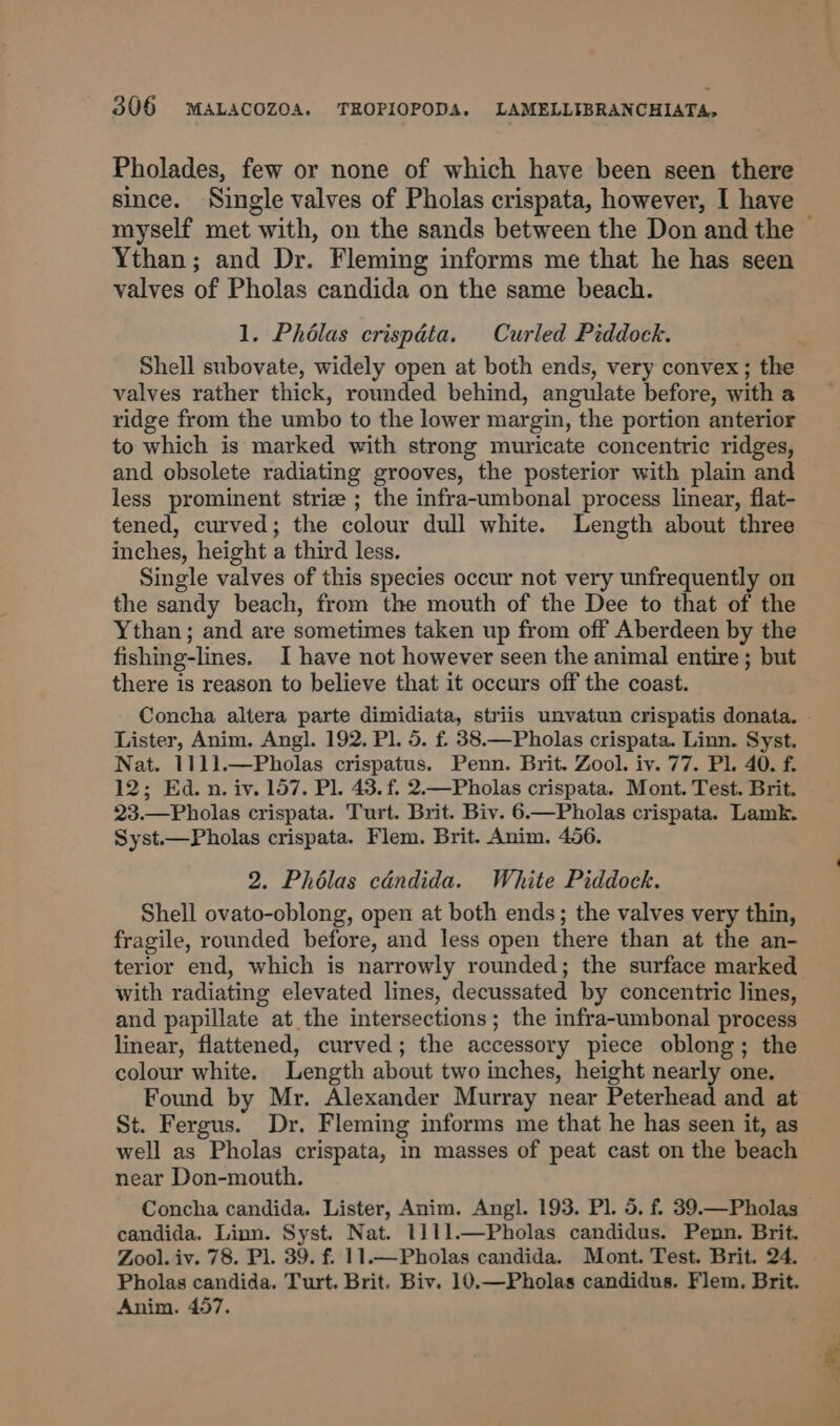 Pholades, few or none of which have been seen there since. Single valves of Pholas crispata, however, I have myself met with, on the sands between the Don and the — Ythan; and Dr. Fleming informs me that he has seen valves of Pholas candida on the same beach. 1. Phélas crispdta. Curled Piddock. Shell subovate, widely open at both ends, very convex; the valves rather thick, rounded behind, angulate before, with a ridge from the umbo to the lower margin, the portion anterior to which is marked with strong muricate concentric ridges, and obsolete radiating grooves, the posterior with plain and less prominent striz ; the infra-umbonal process linear, flat- tened, curved; the colour dull white. Length about three inches, height a third less. Single valves of this species occur not very unfrequently on the sandy beach, from the mouth of the Dee to that of the Ythan ; and are sometimes taken up from off Aberdeen by the fishing-lines. I have not however seen the animal entire ; but there is reason to believe that it occurs off the coast. Concha altera parte dimidiata, striis unvatun crispatis donata. - Lister, Anim. Angl. 192. Pl. 5. f. 38.—Pholas crispata. Linn. Syst. Nat. 1111.—Pholas crispatus. Penn. Brit. Zool. iv. 77. Pl. 40. f. 12; Ed. n. iv. 157. Pl. 43. f. 2.—Pholas crispata. Mont. Test. Brit. 23.—Pholas crispata. Turt. Brit. Biv. 6.—Pholas crispata. Lamk. Syst.—Pholas crispata. Flem. Brit. Anim. 456. 2. Phélas candida. White Piddock. Shell ovato-oblong, open at both ends; the valves very thin, fragile, rounded before, and less open there than at the an- terior end, which is narrowly rounded; the surface marked with radiating elevated lines, decussated by concentric lines, and papillate at the intersections; the infra-umbonal process linear, flattened, curved; the accessory piece oblong; the colour white. Length about two inches, height nearly one. Found by Mr. Alexander Murray near Peterhead and at St. Fergus. Dr. Fleming informs me that he has seen it, as well as Pholas crispata, in masses of peat cast on the beach near Don-mouth. Concha candida. Lister, Anim. Angl. 193. Pl. 5, f. 39.—Pholas candida. Linn. Syst. Nat. 1111.—Pholas candidus. Penn. Brit. Zool. iv. 78. Pl. 39. f. 11.—Pholas candida. Mont. Test. Brit. 24. . Pholas candida. Turt. Brit. Biv. 10.—Pholas candidus. Flem, Brit. Anim. 457.