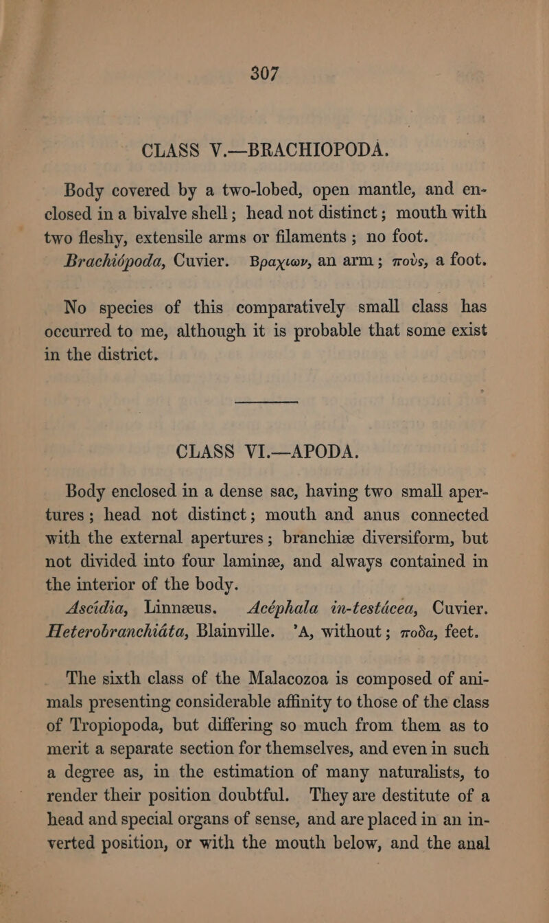 CLASS V.—BRACHIOPODA. Body covered by a two-lobed, open mantle, and en- closed in a bivalve shell; head not distinct; mouth with two fleshy, extensile arms or filaments ; no foot. Brachiépoda, Cuvier. Bpaytor, an arm; rods, a foot. No species of this comparatively small class has occurred to me, although it is probable that some exist in the district. CLASS VI.—APODA. Body enclosed in a dense sac, having two small aper- tures; head not distinct; mouth and anus connected with the external apertures; branchie diversiform, but not divided into four lamine, and always contained in the interior of the body. Ascidia, Linneus. Acéphala in-testécea, Cuvier. Heterobranchidta, Blainville. ’A, without; zoda, feet. The sixth class of the Malacozoa is composed of ani- mals presenting considerable affinity to those of the class of Tropiopoda, but differing so much from them as to merit a separate section for themselves, and even in such a degree as, in the estimation of many naturalists, to render their position doubtful. They are destitute of a head and special organs of sense, and are placed in an in- verted position, or with the mouth below, and the anal