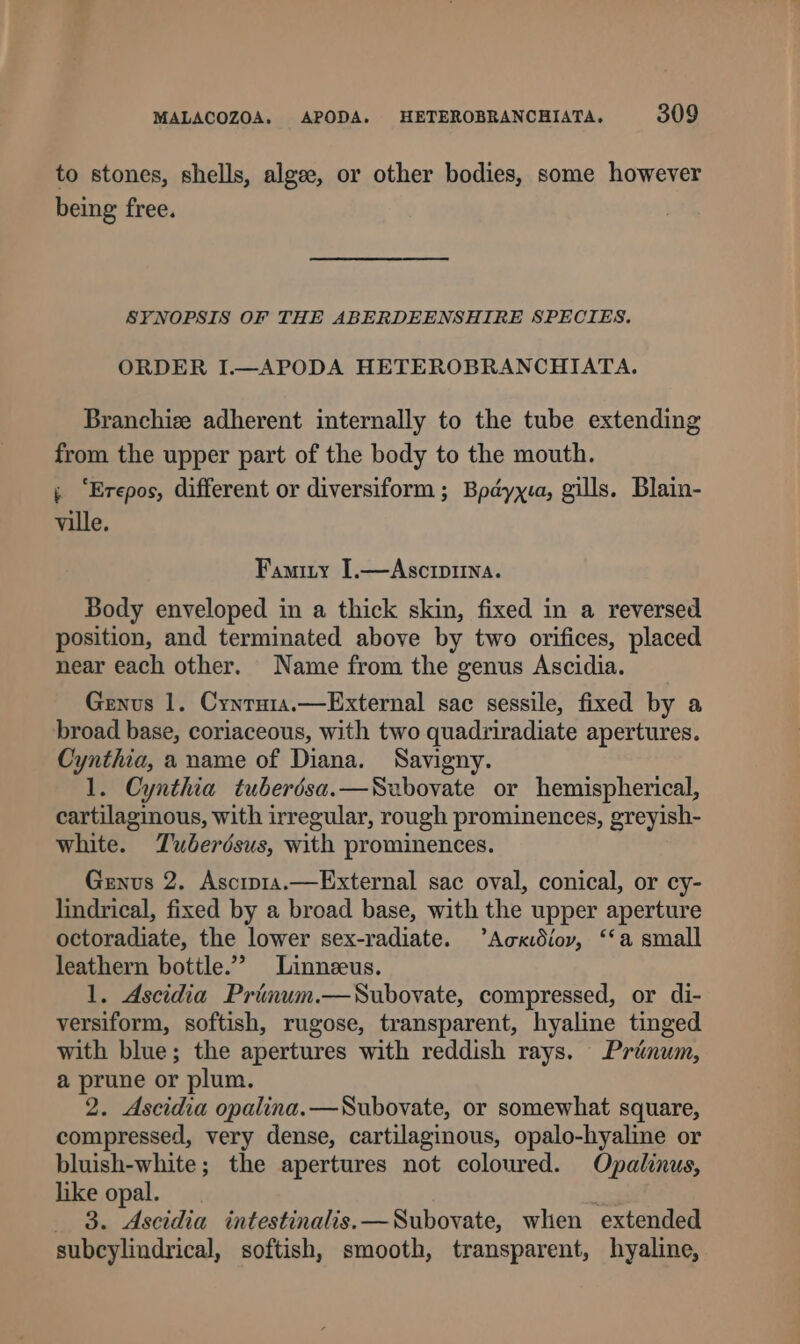 to stones, shells, algee, or other bodies, some however being free. SYNOPSIS OF THE ABERDEENSHIRE SPECIES. ORDER I.—APODA HETEROBRANCHIATA. Branchiee adherent internally to the tube extending from the upper part of the body to the mouth. , ‘Erepos, different or diversiform ; Bpdyyia, gills. Blain- ville. Famity I.—Ascrpina. Body enveloped in a thick skin, fixed in a reversed position, and terminated above by two orifices, placed near each other. Name from the genus Ascidia. Genus 1. Cynruia.—External sac sessile, fixed by a broad base, coriaceous, with two quadriradiate apertures. Cynthia, a name of Diana. Savigny. 1. Cynthia tuberdsa.—Szebovate or hemispherical, cartilaginous, with irregular, rough prominences, greyish- white. Tuberdsus, with prominences. Genus 2. Ascip1a.—External sac oval, conical, or cy- lindrical, fixed by a broad base, with the upper aperture octoradiate, the lower sex-radiate. ’Acxkidiov, ‘a small leathern bottle.’ Linnzeus. 1. Ascidia Prinum.—Subovate, compressed, or di- versiform, softish, rugose, transparent, hyaline tinged with blue; the apertures with reddish rays. Priénuwm, a prune or plum. 2. Ascidia opalina.—Subovate, or somewhat square, compressed, very dense, cartilaginous, opalo-hyaline or bluish-white; the apertures not coloured. Opalinus, like opal. ; _ 8. Ascidia intestinalis. —Subovate, when extended subcylindrical, softish, smooth, transparent, hyaline,