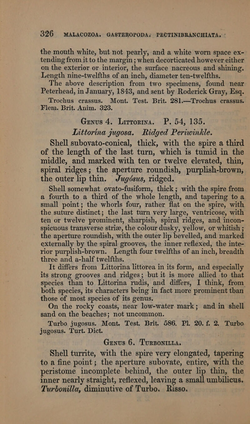 the mouth white, but not pearly, and a white worn space ex- tending from it to the margin ; when decorticated however either on the exterior or interior, the surface nacreous and shining. Length nine-twelfths of an inch, diameter ten-twelfths, The above description from two specimens, found near Peterhead, in January, 1843, and sent by Roderick Gray, Esq. Trochus crassus. Mont. Test. Brit. 281.—Trochus crassus. Flem. Brit. Anim. 323. Genus 4. Lirrortna. P. 54, 135. Littorina jugosa. Ridged Periwinkle. Shell subovato-conical, thick, with the spire a third of the length of the last turn, which is tumid in the middle, and marked with ten or twelve elevated, thin, spiral ridges; the aperture roundish, purplish-brown, the outer ip thin. Jugdsus, ridged. Shell somewhat ovato-fusiform, thick; with the spire from a fourth to a third of the whole length, and tapering to a small point; the whorls four, rather flat on the spire, with the suture distinct; the last turn very large, ventricose, with ten or twelve prominent, sharpish, spiral ridges, and incon- spicuous transverse striz, the colour dusky, yellow, or whitish ; the aperture roundish, with the outer lip bevelled, and marked externally by the spiral grooves, the inner reflexed, the inte- rior purplish-brown. Length four twelfths of an inch, breadth three and a-half twelfths. It differs from Littorina littorea in its form, and especially its strong grooves and ridges; but it is more allied to that species than to Littorina rudis, and differs, I think, from both species, its characters being in fact more prominent tban those of most species of its genus. : On the rocky coasts, near low-water mark; and in shell sand on the beaches; not uncommon. Turbo jugosus. Mont. Test. Brit. 586. Pl. 20. f. 2. Turbo jugosus. Turt. Dict. Genus 6. Turzonitia. Shell turrite, with the spire very elongated, tapering to a fine point; the aperture subovate, entire, with the peristome incomplete behind, the outer lip thin, the inner nearly straight, reflexed, leaving a small umbilicus. Turbonilla, diminutive of Turbo. Risso.