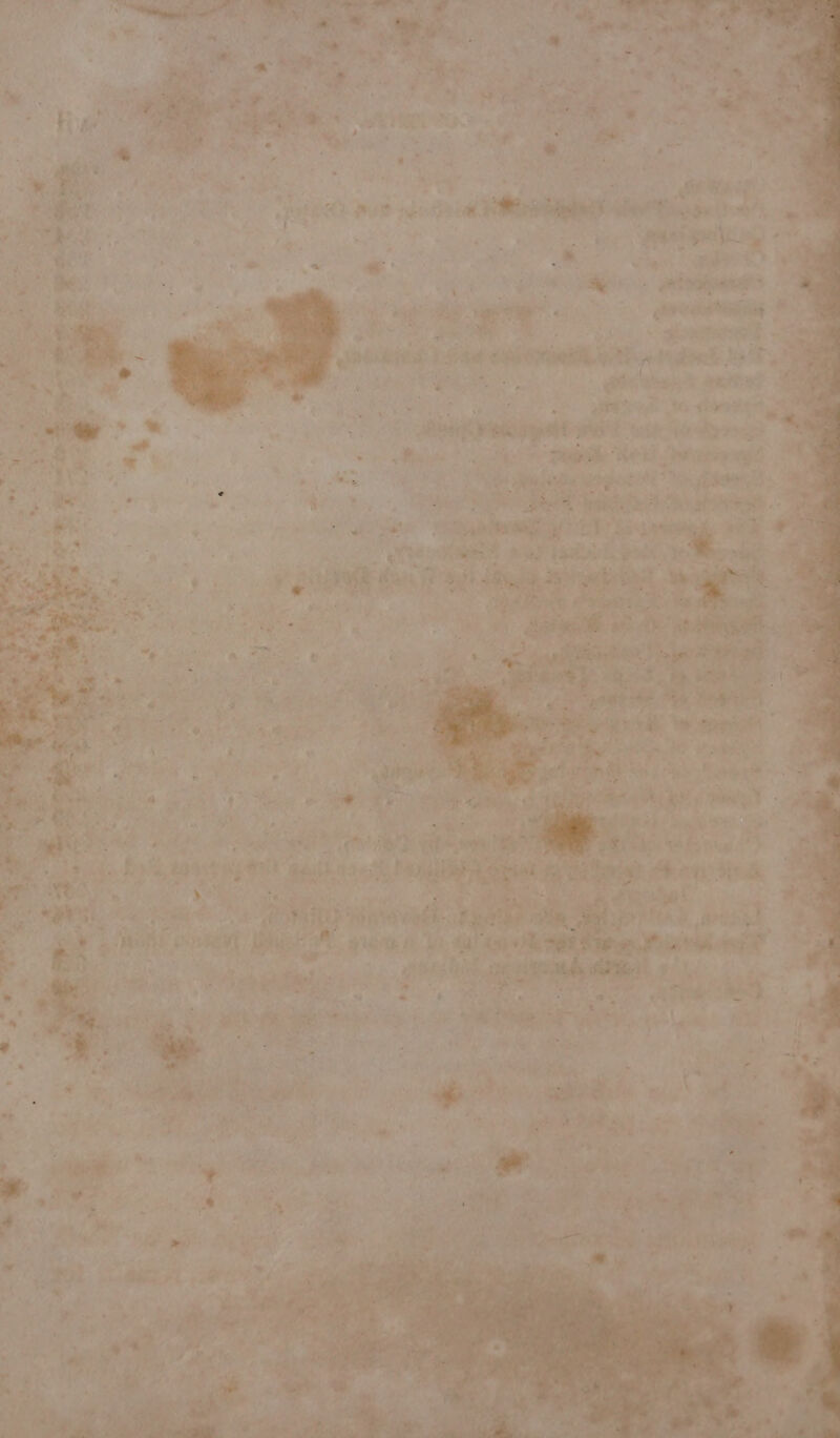 = % % = « ae o ‘ eS is oe Oy . AES ’ uf - we Aste + to ta n : or ed ah pa > [ply - i + Me ‘ A ; eg F < as a ‘ SRT E «il 26 Y- etek: 1 Acheter, BAT Matont bee Sh F at ee ert: af pee wees Peo. he m 4+ Vata ee ¥ : o spice egaiaus -y a * n i as 7 7or , ie y > ae &amp; - ne a tu pt * 7” 4 7 : 7. is, Ne os ‘se ee * f , . A SUTHEaUT yg SE Fir « ve he he 18), Bi ye The a ” fas S a *, Be j ed i ve &amp; * y are re