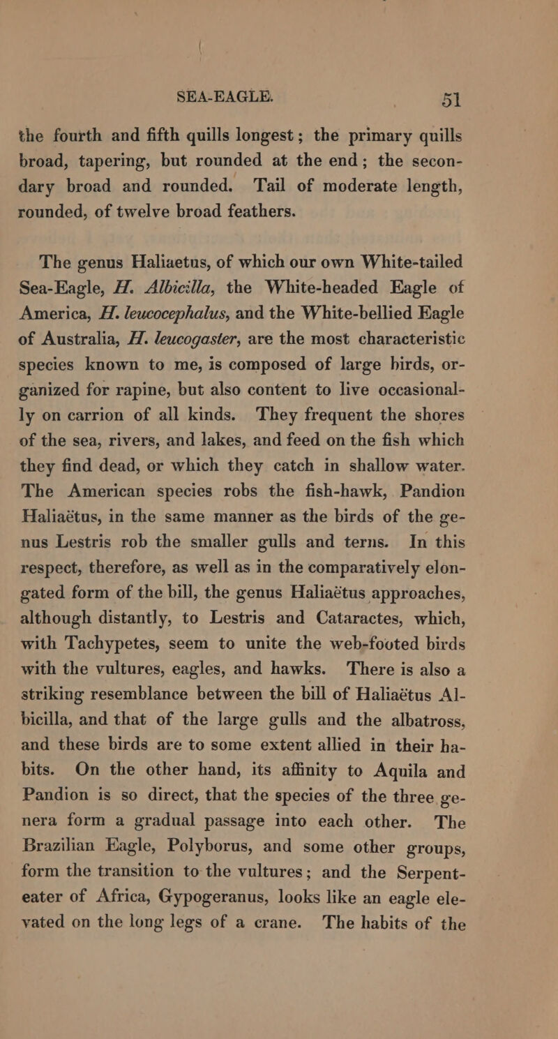 the fourth and fifth quills longest; the primary quills broad, tapering, but rounded at the end; the secon- dary broad and rounded. Tail of moderate length, rounded, of twelve broad feathers. The genus Haliaetns, of which our own White-tailed Sea-Eagle, H. Albicilla, the White-headed Eagle of America, H. leucocephalus, and the White-bellied Eagle of Australia, H. leucogaster, are the most characteristic species known to me, is composed of large hirds, or- ganized for rapine, but also content to live occasional- ly on carrion of all kinds. They frequent the shores of the sea, rivers, and lakes, and feed on the fish which they find dead, or which they catch in shallow water. The American species robs the fish-hawk, Pandion Haliaétus, in the same manner as the birds of the ge- nus Lestris rob the smaller gulls and terns. In this respect, therefore, as well as in the comparatively elon- gated form of the bill, the genus Haliaétus approaches, although distantly, to Lestris and Cataractes, which, with Tachypetes, seem to unite the web-fovted birds with the vultures, eagles, and hawks. There is also a striking resemblance between the bill of Haliaétus Al- bicilla, and that of the large gulls and the albatross, and these birds are to some extent allied in their ha- bits. On the other hand, its affinity to Aquila and Pandion is so direct, that the species of the three ge- nera form a gradual passage into each other. The Brazilian Eagle, Polyborus, and some other groups, form the transition to the vultures; and the Serpent- eater of Africa, Gypogeranus, looks like an eagle ele- vated on the long legs of a crane. The habits of the