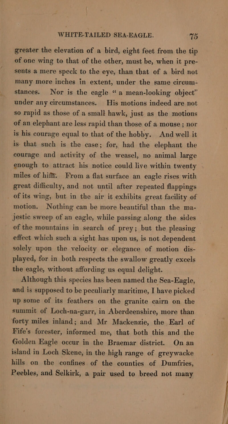 greater the elevation of a bird, eight feet from the tip of one wing to that of the other, must be, when it pre- sents a mere speck to the eye, than that of a bird not many more inches in extent, under the same circum- stances. Nor is the eagle “a mean-looking object” under any circumstances. His motions indeed are not so rapid as those of a small hawk, just as the motions of an elephant are less rapid than those of a mouse ; nor is his courage equal to that of the hobby. And well it is that such is the case; for, had the elephant the courage and activity of the weasel, no animal large enough to attract his notice could live within twenty miles of hit. From a flat surface an eagle rises with great difficulty, and not until after repeated flappings of its wing, but in the air it exhibits great facility of motion. Nothing can be more beautiful than the ma- jestic sweep of an eagle, while passing along the sides effect which such a sight has upon us, is not dependent solely upon the velocity or elegance of motion dis- played, for in both respects the swallow greatly excels the eagle, without affording us equal delight. Although this species has been named the Sea-Eagle, and is supposed to be peculiarly maritime, I have picked up some of its feathers on the granite cairn on the summit of Loch-na-garr, in Aberdeenshire, more than forty miles inland; and Mr Mackenzie, the Earl of Fife’s forester, informed me, that both this and the Golden Eagle occur in the Braemar district. On an island in Loch Skene, in the high range of greywacke hills on the confines of the counties of Dumfries, Peebles, and Selkirk, a pair used to breed not many