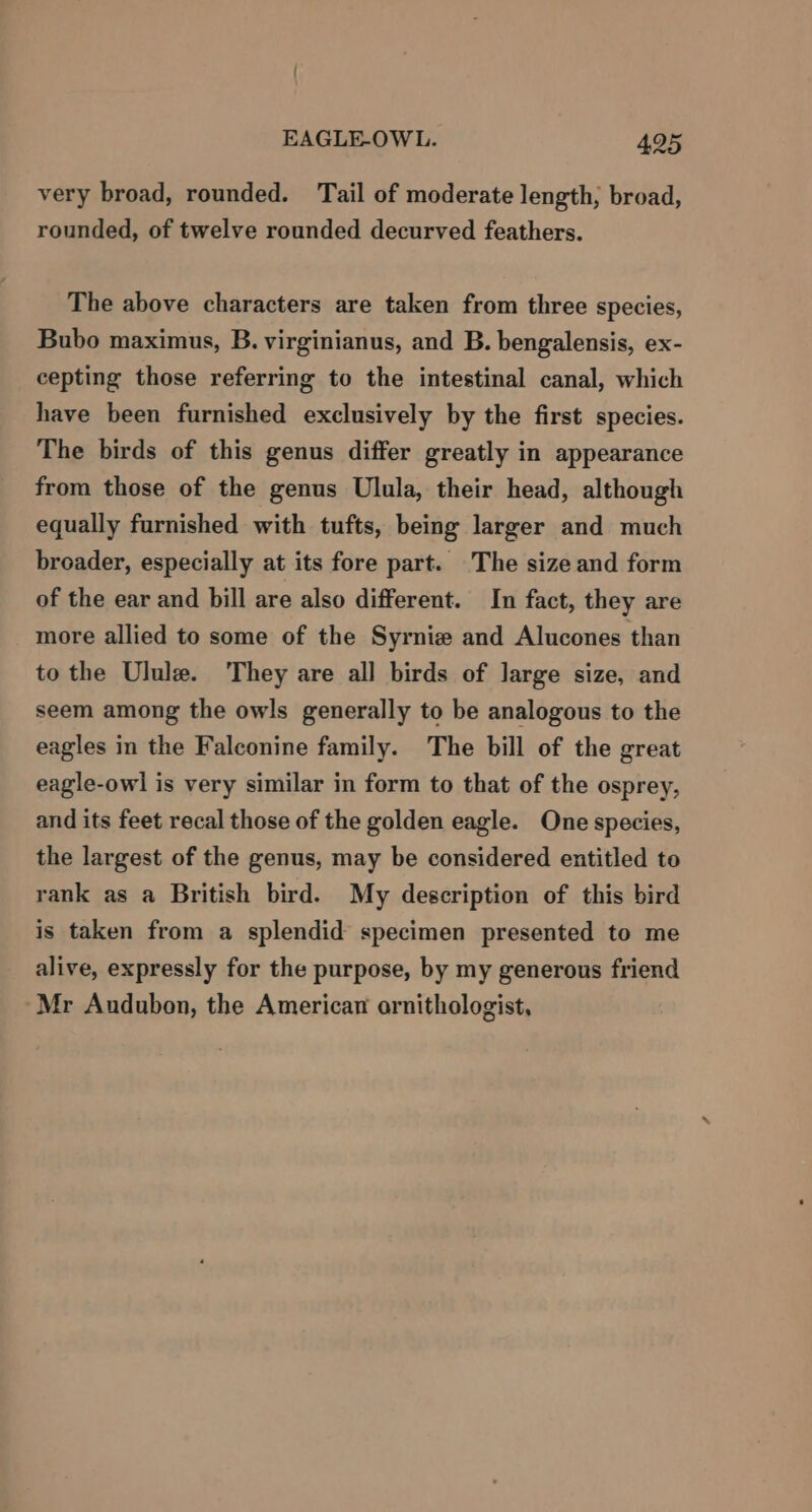 very broad, rounded. ‘Tail of moderate length, broad, rounded, of twelve rounded decurved feathers. The above characters are taken from three species, Bubo maximus, B. virginianus, and B. bengalensis, ex- cepting those referring to the intestinal canal, which have been furnished exclusively by the first species. The birds of this genus differ greatly in appearance from those of the genus Ulula, their head, although equally furnished with tufts, being larger and much broader, especially at its fore part. The size and form of the ear and bill are also different. In fact, they are more allied to some of the Syrniz and Alucones than to the Ulule. They are all birds of large size, and seem among the owls generally to be analogous to the eagles in the Falconine family. The bill of the great eagle-owl is very similar in form to that of the osprey, and its feet recal those of the golden eagle. One species, the largest of the genus, may be considered entitled to rank as a British bird. My description of this bird is taken from a splendid specimen presented to me alive, expressly for the purpose, by my generous friend Mr Andubon, the American ornithologist,