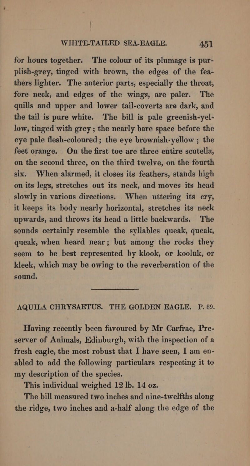 ( WHITE-TAILED SEA-EAGLE. 451 for hours together. The colour of its plumage is pur- plish-grey, tinged with brown, the edges of the fea- thers lighter. The anterior parts, especially the throat, fore neck, and edges of the wings, are paler. The quills and upper and lower tail-coverts are dark, and the tail is pure white. The bill is pale greenish-yel- low, tinged with grey ; the nearly bare space before the eye pale flesh-coloured ; the eye brownish-yellow ; the feet orange. On the first toe are three entire scutella, on the second three, on the third twelve, on the fourth six. When alarmed, it closes its feathers, stands high on its legs, stretches out its neck, and moves its head slowly in various directions. When uttering its cry, it keeps its body nearly horizontal, stretches its neck upwards, and throws its head a little backwards. The sounds certainly resemble the syllables queak, queak, queak, when heard near; but among the rocks they seem to be best represented by klook, or kooluk, or kleek, which may be owing to the reverberation of the sound. AQUILA CHRYSAETUS. THE GOLDEN EAGLE. P. 89. Having recently been favoured by Mr Carfrae, Pre- server of Animals, Edinburgh, with the inspection of a fresh eagle, the most robust that I have seen, I am en- abled to add the following particulars respecting it to my description of the species. This individual weighed 12 lb. 14 oz. The bill measured two inches and nine-twelfths along the ridge, two inches and a-half along the edge of the