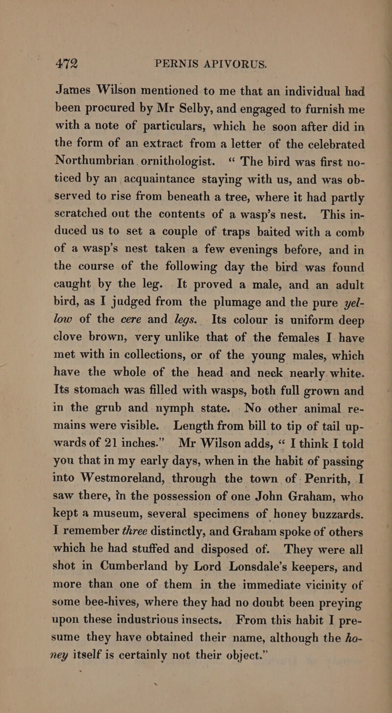 James Wilson mentioned to me that an individual had been procured by Mr Selby, and engaged to furnish me with a note of particulars, which he soon after did in the form of an extract from a letter of the celebrated Northumbrian. ornithologist. ‘“ The bird was first no- ticed by an acquaintance staying with us, and was ob- served to rise from beneath a tree, where it had partly scratched out the contents of a wasp’s nest. This in- duced us to set a couple of traps baited with a comb of a wasp’s nest taken a few evenings before, and in the course of the following day the bird was found caught by the leg. It proved a male, and an adult bird, as I judged from the plumage and the pure yel- low of the cere and legs. Its colour is uniform deep clove brown, very unlike that of the females I have met with in collections, or of the young males, which have the whole of the head and -neck nearly white. Its stomach was filled with wasps, both full grown and in the grub and nymph state. No other animal re- mains were visible. Length from bill to tip of tail up- wards of 21 inches.” Mr Wilson adds, “ I think I told you that in my early days, when in the habit of passing into Westmoreland, through the town of - Penrith, I saw there, in the possession of one John Graham, who kept a museum, several specimens of honey buzzards. I remember three distinctly, and Graham spoke of others which he had stuffed and disposed of. They were all shot in Cumberland by Lord Lonsdale’s keepers, and more than one of them in the immediate vicinity of some bee-hives, where they had no doubt been preying upon these industrious insects. From this habit I pre- sume they have obtained their name, although the ho- ney itself is certainly not their object.”