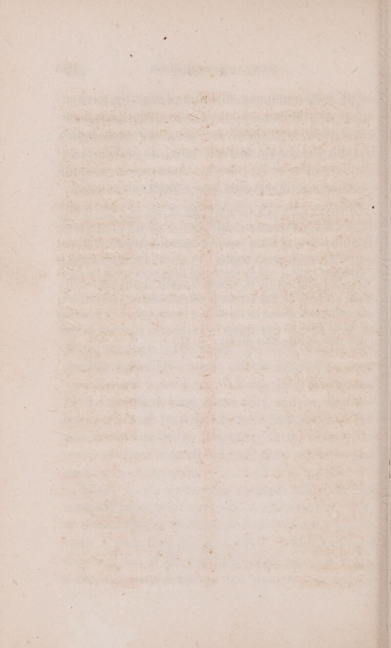 i 1 7 ~ - ‘ Pi : ; . ‘