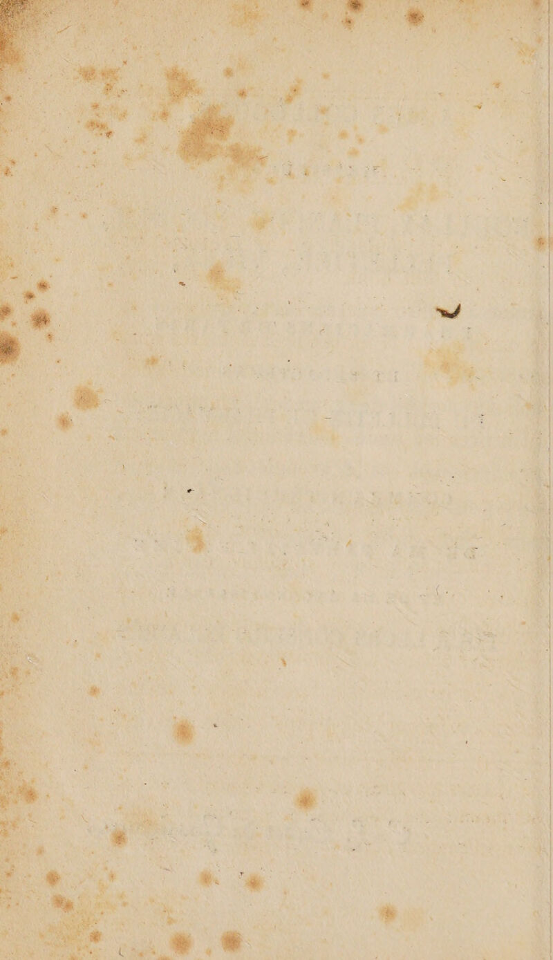 FF. ONE SHETÉAUTE AN