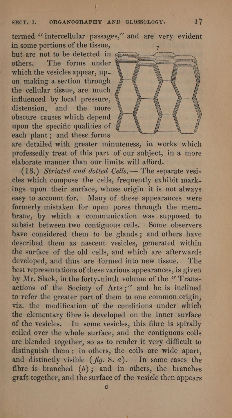 | SEOT. I. ORGANOGRAPHY AND GLOSSOLOGY. LT termed “intercellular passages,” and are very evident in some portions of the tissue, but are not to be detected in others. The forms under which the vesicles appear, up- on making a section through the cellular tissue, are much influenced by local pressure, distension, and the more obscure causes which depend upon the specific qualities of each plant; and these forms are detailed with greater minuteness, in works which professedly treat of this part of our subject, in a more elaborate manner than our limits will afford. (18.) Striated and dotted Cells.— The separate vesi- cles which compose the cells, frequently exhibit mark- ings upon their surface, whose origin it is not always easy to account for. Many of these appearances were formerly mistaken for open pores through the mem- brane, by which a communication was supposed to subsist between two contiguous cells. Some observers have considered them to be glands; and others have described them as nascent vesicles, generated within the surface of the old cells, and which are afterwards developed, and thus are formed into new tissue. The best representations of these various appearances, is given by Mr. Slack, in the forty-ninth volume of the “ Trans- actions of the Society of Arts;”’ and he is inclined to refer the greater part of them to one common origin, viz. the modification of the conditions under which the elementary fibre is developed on the inner surface of the vesicles. In some vesicles, this fibre is spirally coiled over the whole surface, and the contiguous coils are blended together, so as to render it very difficult to distinguish them: in others, the coils are wide apart, and distinctly visible (fig. 8. a). In some cases the fibre is branched (b); and in others, the branches graft together, and the surface of the vesicle then appears c