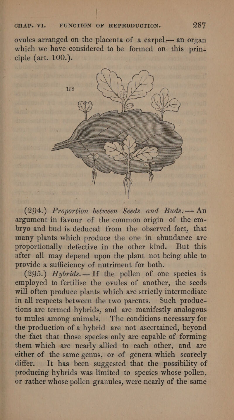 { CHAP. VI. FUNCTION OF REPRODUCTION. 287 ovules arranged on the placenta of a carpel— an organ which we have considered to be formed on. this prin- ciple (art. 100.). (294.) Proportion between Seeds and Buds.— An argument in favour of the common origin of the em- bryo and bud is deduced from the observed fact, that many plants which produce the one in abundance are proportionally defective in the other kind. But this after all may depend upon the plant not being able to provide a sufficiency of nutriment for both. (295.) Hybrids. —If the pollen of one species is employed to fertilise the ovules of another, the seeds will often produce plants which are strictly intermediate in all respects between the two parents. Such produc- tions are termed hybrids, and are manifestly analogous to mules among animals. The conditions necessary for the production of a hybrid are not ascertained, beyond the fact that those species only are capable of forming them which are nearly allied to each other, and are either of the same genus, or of genera which scarcely differ. It has been suggested that the possibility of producing hybrids was limited to species whose pollen, or rather whose pollen granules, were nearly of the same