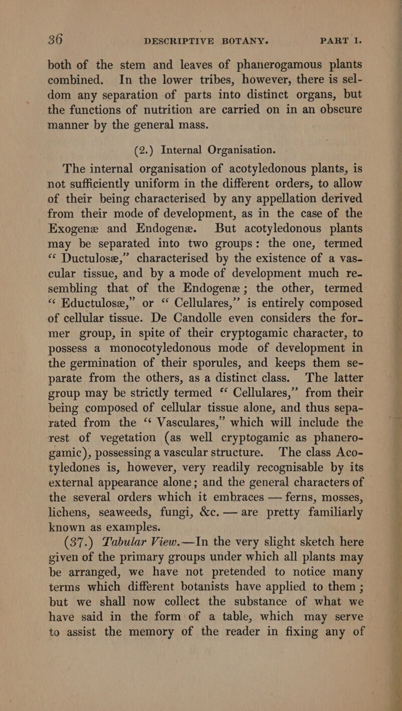 both of the stem and leaves of phanerogamous plants combined. In the lower tribes, however, there is sel- dom any separation of parts into distinct organs, but the functions of nutrition are carried on in an obscure manner by the general mass. (2.) Internal Organisation. The internal organisation of acotyledonous plants, is not sufficiently uniform in the different. orders, to allow of their being characterised by any appellation derived from their mode of development, as in the case of the Exogene and Endogene. But acotyledonous plants may be separated into two groups: the one, termed “* Ductulose,” characterised by the existence of a vas- cular tissue, and by a mode of development much re- sembling that of the Endogene; the other, termed “‘ Eductulose,” or “ Cellulares,” is entirely composed of cellular tissue. De Candolle even considers the for- mer group, in spite of their cryptogamic character, to possess a monocotyledonous mode of development in the germination of their sporules, and keeps them se- parate from the others, as a distinct class. The latter group may be strictly termed ‘ Cellulares,” from their being composed of cellular tissue alone, and thus sepa- rated from the “ Vasculares,” which will include the rest of vegetation (as well cryptogamic as phanero- gamic), possessing a vascular structure. The class Aco- tyledones is, however, very readily recognisable by its external appearance alone; and the general characters of the several orders which it embraces — ferns, mosses, lichens, seaweeds, fungi, &amp;c. — are pretty familiarly known as examples. (37.) Tabular View.—In the very slight sketch here given of the primary groups under which all plants may be arranged, we have not pretended to notice many terms which different botanists have applied to them ; but we shall now collect the substance of what we have said in the form of a table, which may serve to assist the memory of the reader in fixing any of ek he ee a