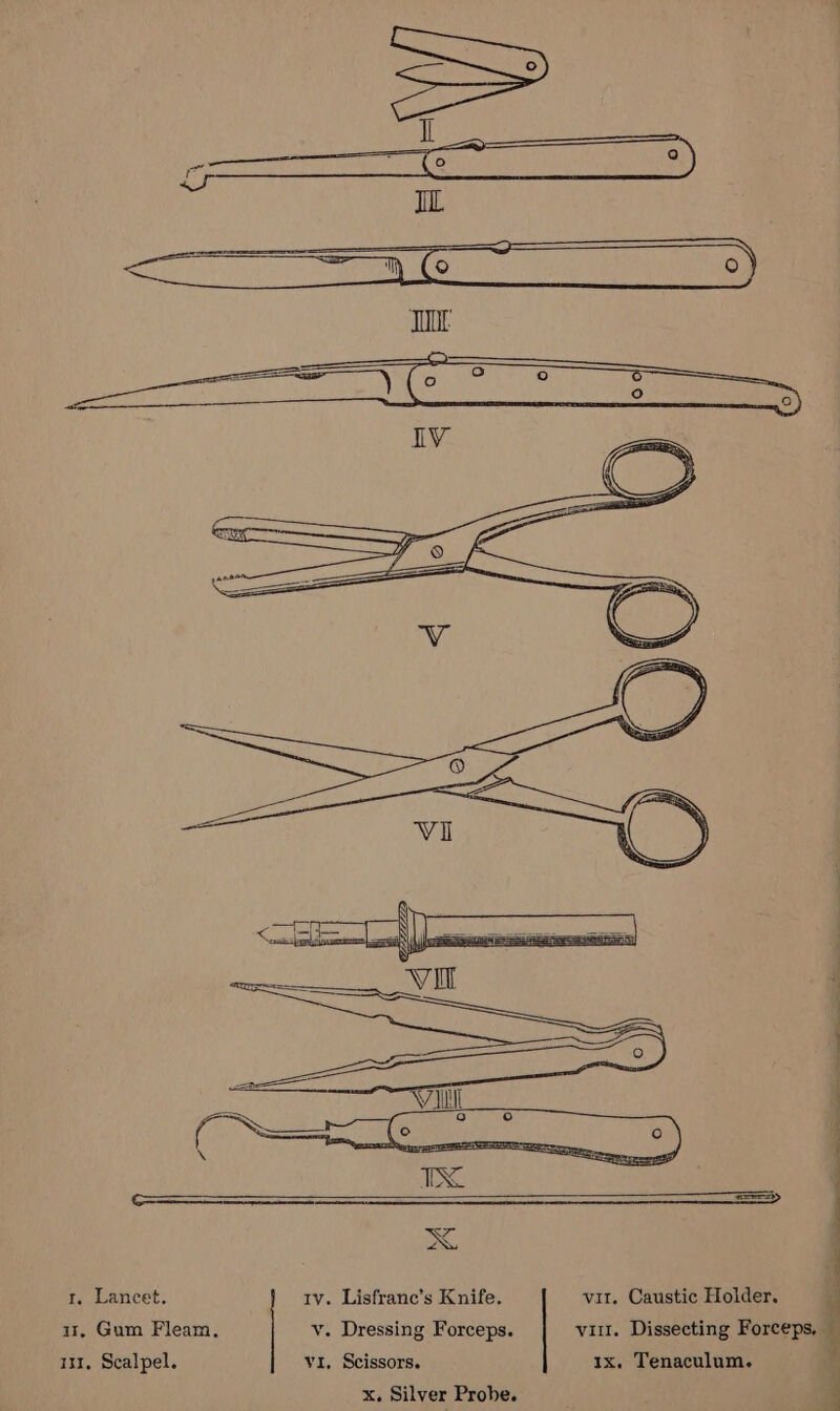 tr. Lancet. ir, Gum Fleam., 131, Scalpel. 1v. Lisfrane’s Knife. v. Dressing Forceps. vi. Scissors. x. Silver Probe. vir. Caustic Holder. vil. Dissecting Forceps, 1x. Tenaculum. j J ; | ' : 4 v | | ; } 1