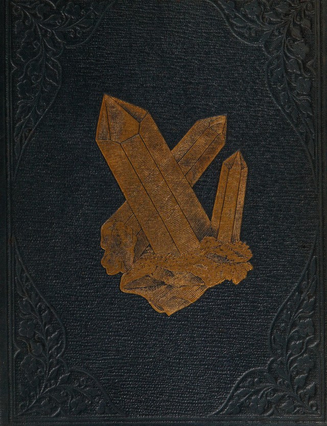 No text description is available for this image