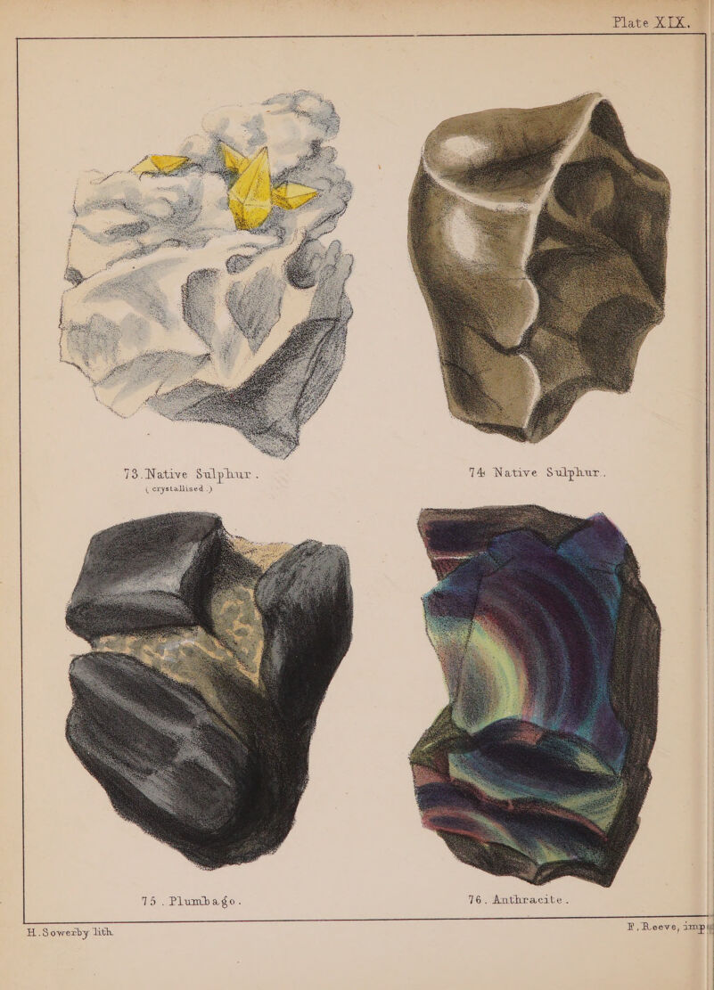 Plate XIX, tte hea ee ( crystallised .) 76. Anthracite H.Sowerby ith ¥, Reeve, imp I