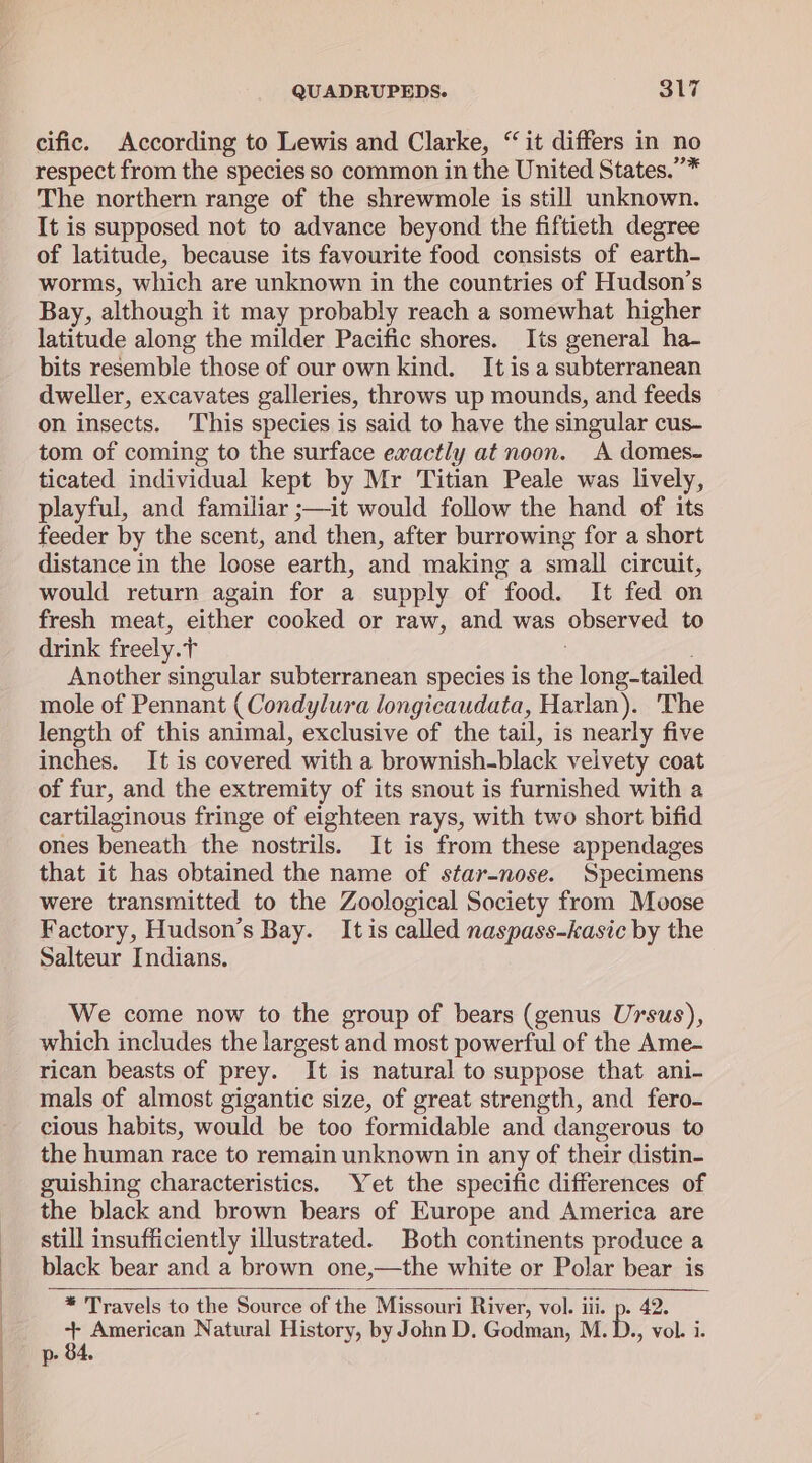 cific. According to Lewis and Clarke, “it differs in no respect from the species so common in the United States.”* The northern range of the shrewmole is still unknown. It is supposed not to advance beyond the fiftieth degree of latitude, because its favourite food consists of earth- worms, which are unknown in the countries of Hudson’s Bay, although it may probably reach a somewhat higher latitude along the milder Pacific shores. Its general ha- bits resemble those of our own kind. It is a subterranean dweller, excavates galleries, throws up mounds, and feeds on insects. This species is said to have the singular cus- tom of coming to the surface exactly at noon. A domes- ticated individual kept by Mr Titian Peale was lively, playful, and familiar ;—it would follow the hand of its feeder by the scent, and then, after burrowing for a short distance in the loose earth, and making a small circuit, would return again for a supply of food. It fed on fresh meat, either cooked or raw, and was observed to drink freely. : Another singular subterranean species is the long-tailed mole of Pennant ( Condylura longicaudata, Harlan). The length of this animal, exclusive of the tail, is nearly five inches. It is covered with a brownish-black velvety coat of fur, and the extremity of its snout is furnished with a cartilaginous fringe of eighteen rays, with two short bifid ones beneath the nostrils. It is from these appendages that it has obtained the name of star-nose. Specimens were transmitted to the Zoological Society from Moose Factory, Hudson’s Bay. It is called naspass-kasic by the Salteur Indians. We come now to the group of bears (genus Ursus), which includes the largest and most powerful of the Ame- rican beasts of prey. It is natural to suppose that ani- mals of almost gigantic size, of great strength, and fero- cious habits, would be too formidable and dangerous to the human race to remain unknown in any of their distin- guishing characteristics. Yet the specific differences of the black and brown bears of Europe and America are still insufficiently illustrated. Both continents produce a black bear and a brown one,—the white or Polar bear is * Travels to the Source of the Missouri River, vol. iii. p. 42. + American Natural History, by John D. Godman, M. D., vol. i. p- 84.