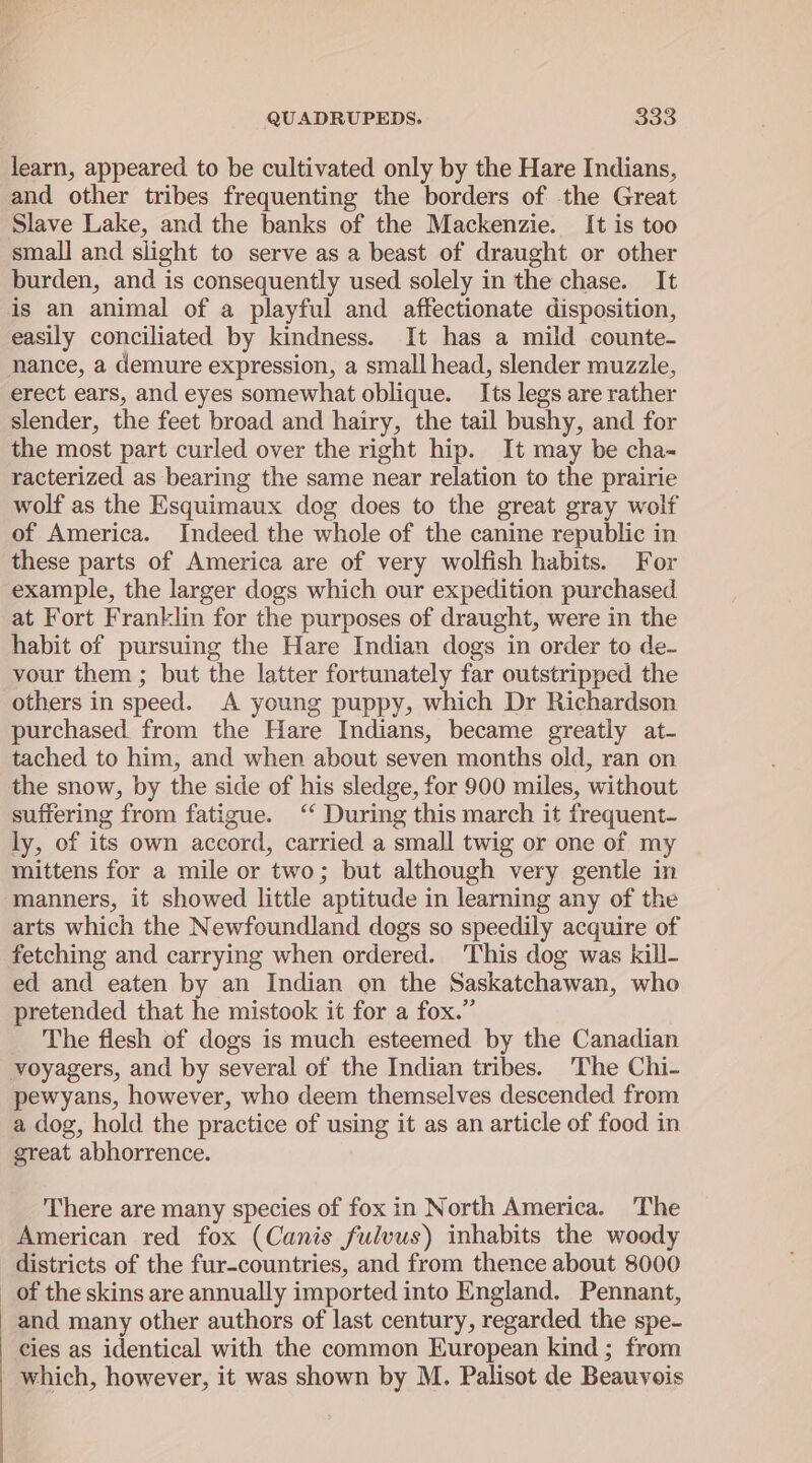 learn, appeared to be cultivated only by the Hare Indians, and other tribes frequenting the borders of the Great Slave Lake, and the banks of the Mackenzie. It is too small and slight to serve as a beast of draught or other burden, and is consequently used solely in the chase. It is an animal of a playful and affectionate disposition, easily conciliated by kindness. It has a mild counte- nance, a demure expression, a small head, slender muzzle, erect ears, and eyes somewhat oblique. Its legs are rather slender, the feet broad and hairy, the tail bushy, and for the most part curled over the right hip. It may be cha- racterized as bearing the same near relation to the prairie wolf as the Esquimaux dog does to the great gray wolf of America. Indeed the whole of the canine republic in these parts of America are of very wolfish habits. For example, the larger dogs which our expedition purchased at Fort Franklin for the purposes of draught, were in the habit of pursuing the Hare Indian dogs in order to de- vour them ; but the latter fortunately far outstripped the others in speed. A young puppy, which Dr Richardson purchased. from the Hare Indians, became greatly at- tached to him, and when about seven months old, ran on the snow, by the side of his sledge, for 900 miles, without suffering from fatigue. ‘‘ During this march it frequent- ly, of its own accord, carried a small twig or one of my mittens for a mile or two; but although very gentle in manners, it showed little aptitude in learning any of the arts which the Newfoundland dogs so speedily acquire of fetching and carrying when ordered. This dog was kill- ed and eaten by an Indian on the Saskatchawan, who pretended that he mistook it for a fox.” The flesh of dogs is much esteemed by the Canadian voyagers, and by several of the Indian tribes. The Chi- pewyans, however, who deem themselves descended from a dog, hold the practice of using it as an article of food in great abhorrence. There are many species of fox in North America. The American red fox (Canis fulvus) inhabits the woody districts of the fur-countries, and from thence about 8000 _ of the skins are annually imported into England. Pennant, and many other authors of last century, regarded the spe- cies as identical with the common European kind ; from which, however, it was shown by M. Palisot de Beauvois