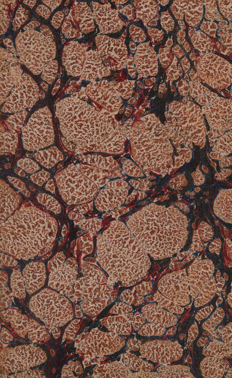 NN SD SRI LE Fa LE s