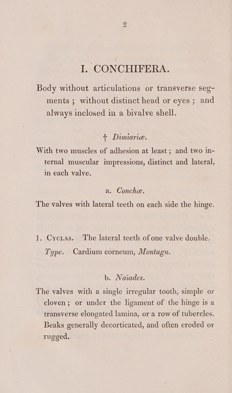 tw I. CONCHIFERA. Body without articulations or transverse seg- ments ; without distinct head or eyes ; and always inclosed in a bivalve shell. + Dimiarie. With two muscles of adhesion at least ; and two in- ternal muscular impressions, distinct and lateral, in each valve. a. Conche. The valves with lateral teeth on each side the hinge. 1. Cycras. ‘The lateral teeth of one valve double. Type. Cardium corneum, Montagu. b. Naiades. The valves with a single irregular tooth, simple or cloven; or under the ligament of the hinge is a transverse elongated lamina, or a row of tubercles. Beaks generally decorticated, and often eroded or rugged.