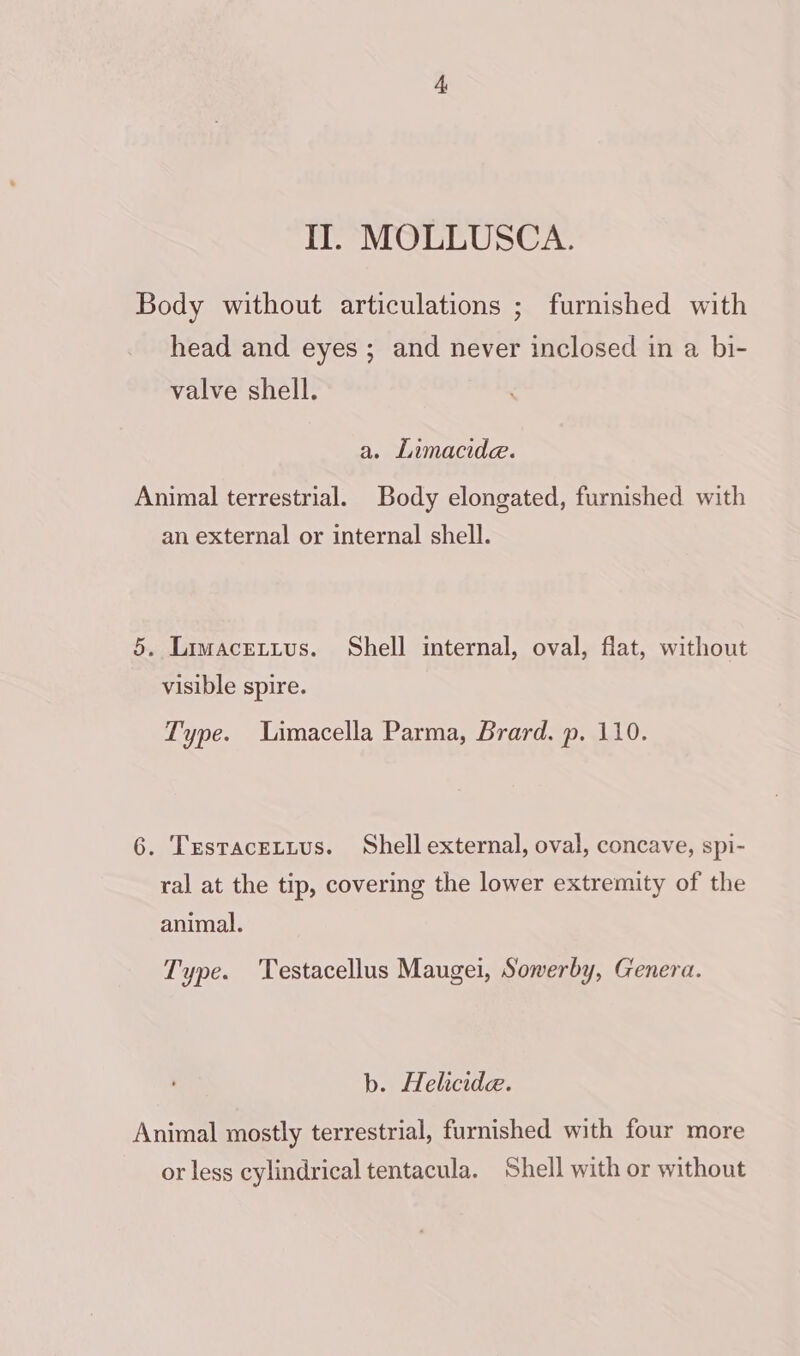 Body without articulations ; furnished with head and eyes ; and never inclosed in a bi- valve shell. a. Limacide. Animal terrestrial. Body elongated, furnished with an external or internal shell. 5. Limacettvus. Shell internal, oval, flat, without visible spire. Type. Limacella Parma, Brard. p. 110. 6. Trstacetius. Shell external, oval, concave, spi- ral at the tip, covering the lower extremity of the animal. Type. Testacellus Maugei, Sowerby, Genera. b. Helicide. Animal mostly terrestrial, furnished with four more or less cylindrical tentacula. Shell with or without
