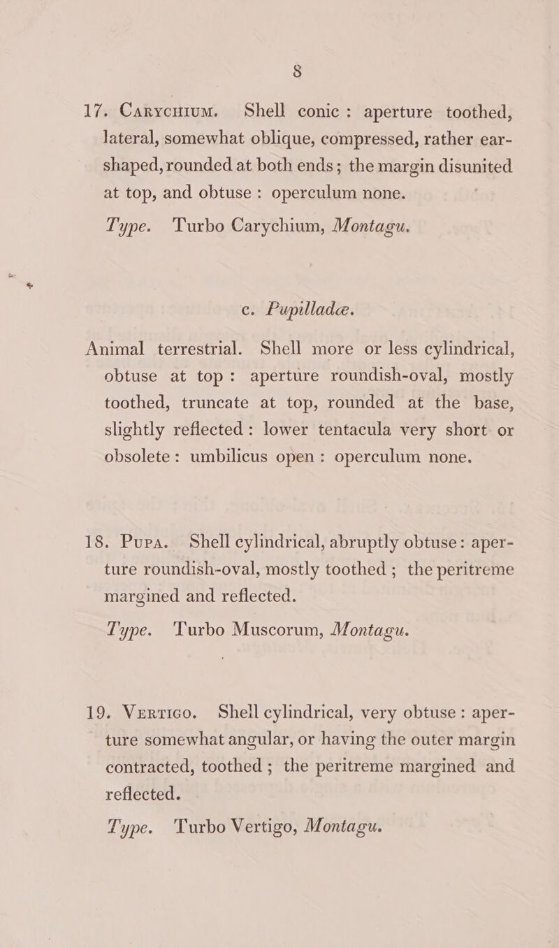 17. Carycuium. Shell conic: aperture toothed, Jateral, somewhat oblique, compressed, rather ear- shaped, rounded at both ends; the margin disunited at top, and obtuse : operculum none. Type. ‘Turbo Carychium, Montagu. c. Pupillade. Animal terrestrial. Shell more or less cylindrical, obtuse at top: aperture roundish-oval, mostly toothed, truncate at top, rounded at the base, slightly reflected : lower tentacula very short. or obsolete: umbilicus open: operculum none. 18. Pupa. Shell cylindrical, abruptly obtuse: aper- ture roundish-oval, mostly toothed ; the peritreme maregined and reflected. Type. ‘Turbo Muscorum, Montagu. 19. Vertico. Shell cylindrical, very obtuse : aper- ture somewhat angular, or having the outer margin contracted, toothed ; the peritreme margined and reflected.