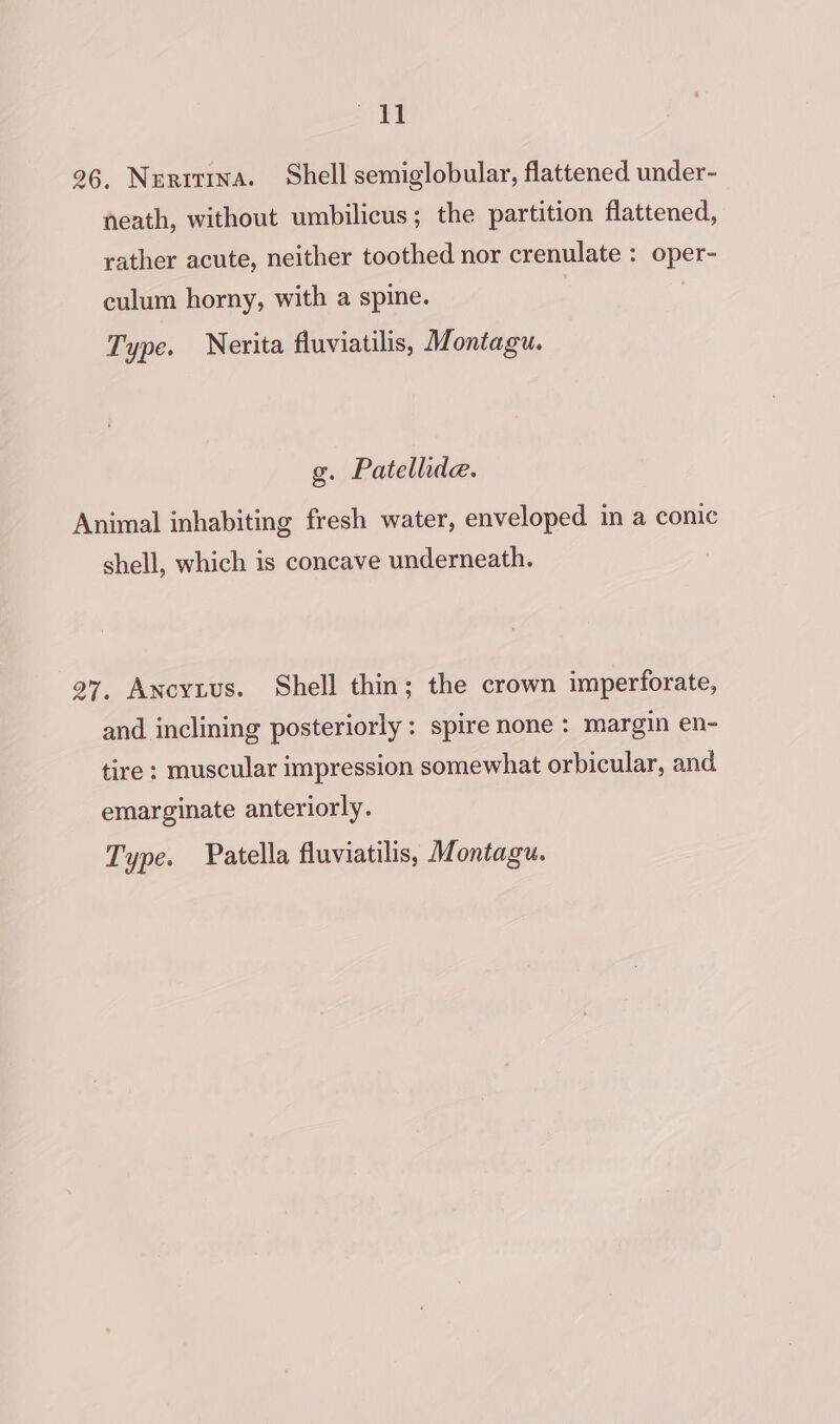 ay 96, Nerrtina. Shell semiglobular, flattened under- neath, without umbilicus; the partition flattened, rather acute, neither toothed nor crenulate : oper- culum horny, with a spine. Type. Nerita fluviatilis, Montagu. g. Patellide. Animal inhabiting fresh water, enveloped in a conic shell, which is concave underneath. 27, Ancytus. Shell thin; the crown imperforate, and inclining posteriorly: spire none : margin en- tire ; muscular impression somewhat orbicular, and emarginate anteriorly.