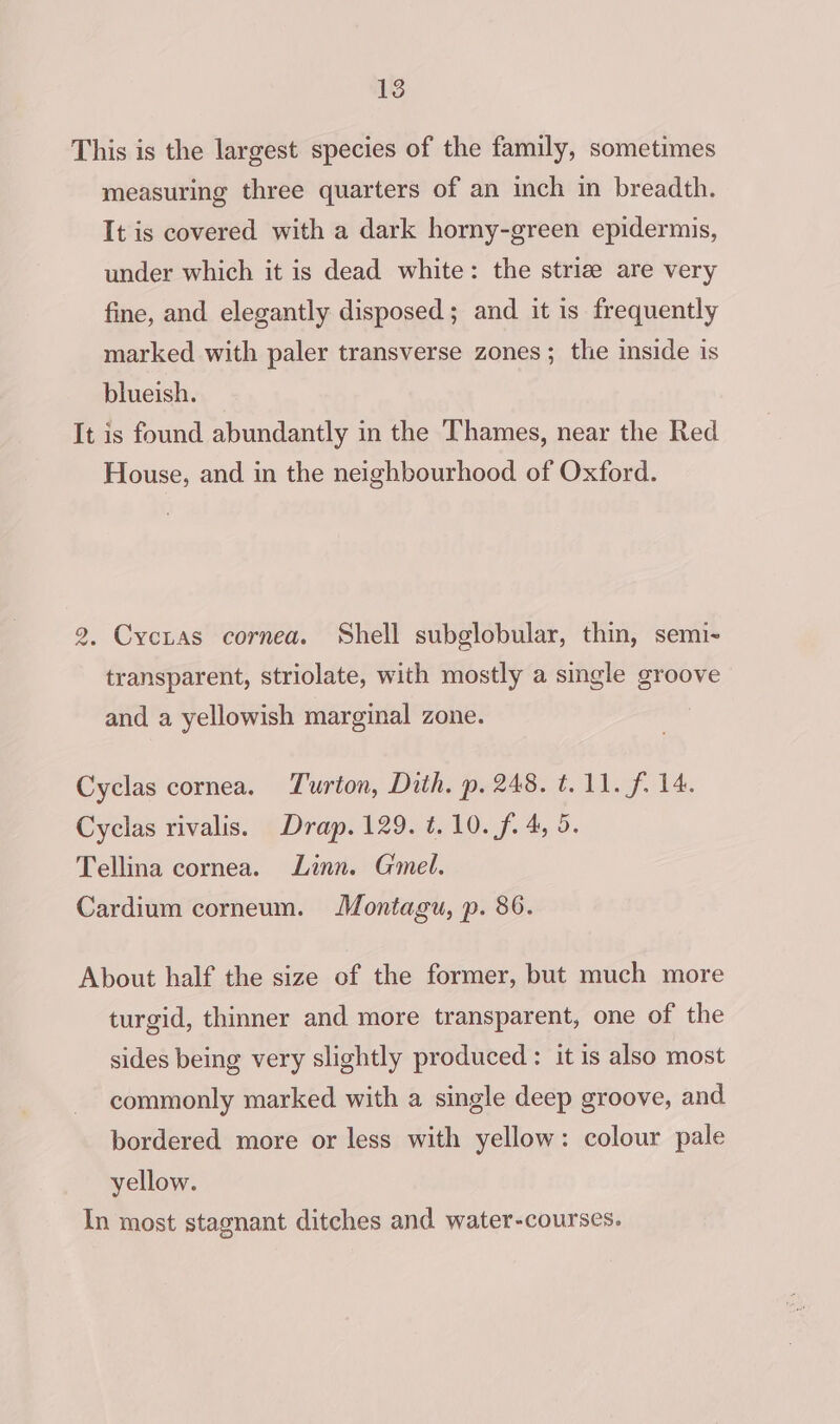 This is the largest species of the family, sometimes measuring three quarters of an inch in breadth. It is covered with a dark horny-green epidermis, under which it is dead white: the striz are very fine, and elegantly disposed; and it is frequently marked with paler transverse zones ; the inside is blueish. It is found abundantly in the Thames, near the Red House, and in the neighbourhood of Oxford. 2. Cycias cornea. Shell subglobular, thin, semi- transparent, striolate, with mostly a single groove and a yellowish marginal zone. Cyclas cornea. Turton, Dith. p. 248. t.11. f. 14. Cyclas rivalis. Drap. 129. t.10. f. 4, 5. Tellina cornea. Linn. Gmel. Cardium corneum. Montagu, p. 86. About half the size of the former, but much more turgid, thinner and more transparent, one of the sides being very slightly produced : it is also most commonly marked with a single deep groove, and bordered more or less with yellow: colour pale yellow. In most stagnant ditches and water-courses.