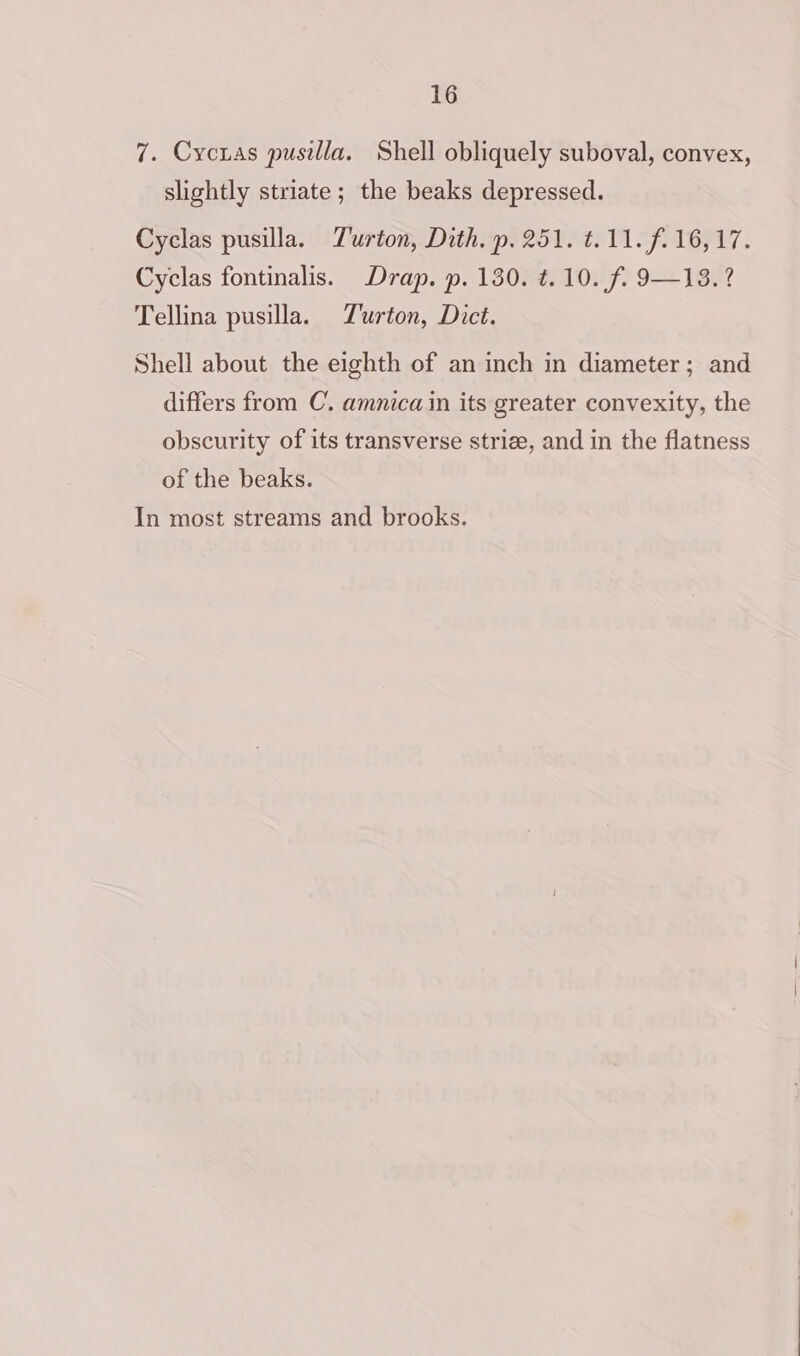 7. Cycras pusilla. Shell obliquely suboval, convex, slightly striate; the beaks depressed. Cyclas pusilla. Turton, Dith. p. 251. t.11. f. 16,17. Cyclas fontinalis. Drap. p. 130. ¢.10. f. 9—13.? Tellina pusilla. Turton, Dict. Shell about the eighth of an inch in diameter; and differs from C. amnica in its greater convexity, the obscurity of its transverse striz, and in the flatness of the beaks.