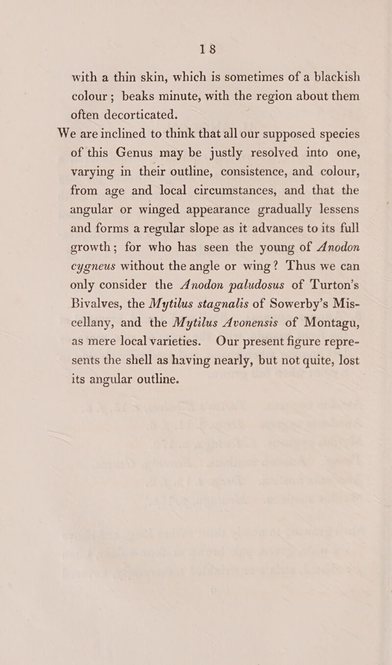 with a thin skin, which is sometimes of a blackish colour ; beaks minute, with the region about them often decorticated. We are inclined to think that all our supposed species of this Genus may be justly resolved into one, varying in their outline, consistence, and colour, from age and local circumstances, and that the angular or winged appearance gradually lessens and forms a regular slope as it advances to its full growth; for who has seen the young of Anodon cygneus without the angle or wing? Thus we can only consider the Anodon paludosus of Turton’s Bivalves, the Mytilus stagnalis of Sowerby’s Mis- cellany, and the Mytilus Avonensis of Montagu, as mere local varieties. Our present figure repre- sents the shell as having nearly, but not quite, lost its angular outline.