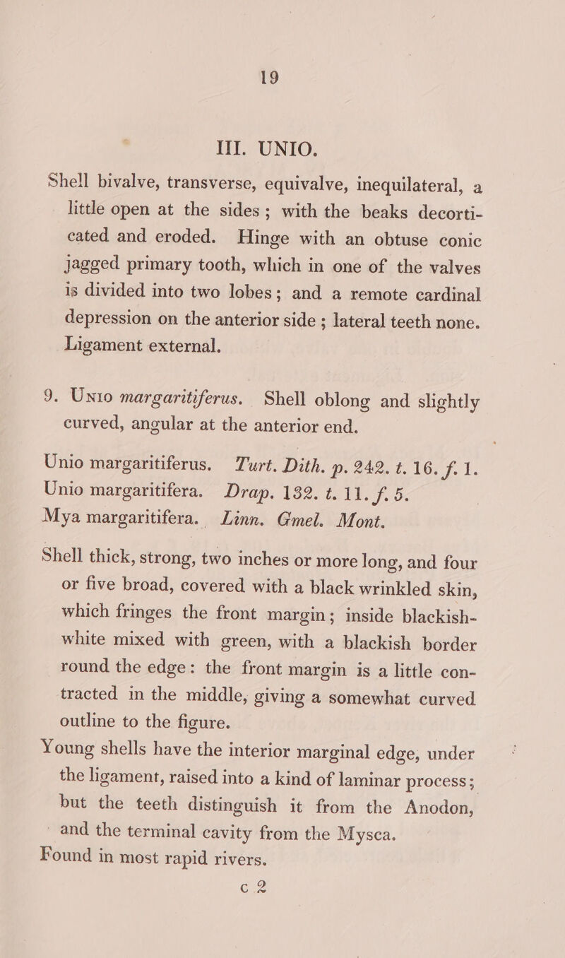 II. UNIO. Shell bivalve, transverse, equivalve, inequilateral, a little open at the sides; with the beaks decorti- cated and eroded. Hinge with an obtuse conic Jagged primary tooth, which in one of the valves is divided into two lobes; and a remote cardinal depression on the anterior side ; lateral teeth none. Ligament external. 9. Unio margaritiferus. Shell oblong and slightly curved, angular at the anterior end. Unio margaritiferus. Twurt. Dith. p- 242. t.16. f. 1. Unio margaritifera. Drap. 132. t. 11. BAC Mya margaritifera. Linn. Gmel. Mont. Shell thick, strong, two inches or more long, and four or five broad, covered with a black wrinkled skin, which fringes the front margin; inside blackish- white mixed with green, with a blackish border round the edge: the front margin is a little con- tracted in the middle, giving a somewhat curved outline to the figure. Young shells have the interior marginal edge, under the ligament, raised into a kind of laminar process; but the teeth distinguish it from the Anodon, _ and the terminal cavity from the Mysca. Found in most rapid rivers. C2