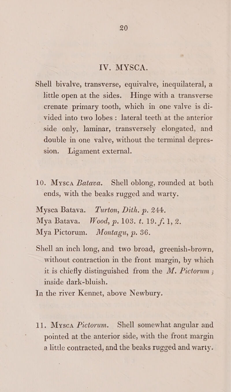 IV. MYSCA. Shell bivalve, transverse, equivalve, inequilateral, a little open at the sides. Hinge with a transverse crenate primary tooth, which in one valve is di- vided into two lobes: lateral teeth at the anterior side only, laminar, transversely elongated, and double in one valve, without the terminal depres- sion. Ligament external. 10. Mysca Batava. Shell oblong, rounded at both ends, with the beaks rugged and warty. Mysca Batava. Turton, Dith. p. 244. Mya Batava. Wood, p. 103. ¢. 19. f.1, 2. Mya Pictorum. Montagu, p. 36. Shell an inch long, and two broad, greenish-brown, without contraction in the front margin, by which it is chiefly distinguished from the M. Pictorum ; inside dark-bluish. In the river Kennet, above Newbury. 11. Mysca Pictorum. Shell somewhat angular and pointed at the anterior side, with the front margin a little contracted, and the beaks rugged and warty.