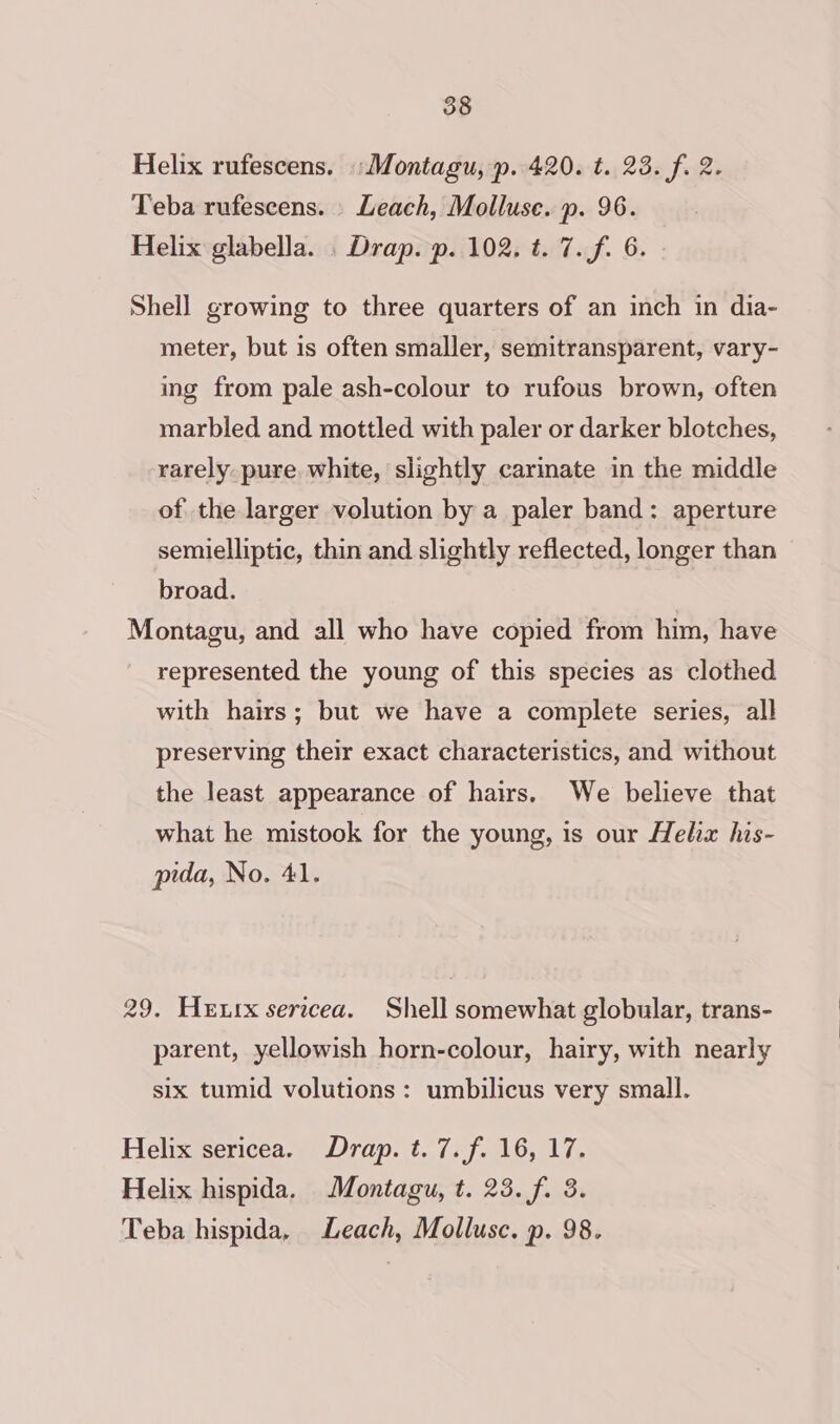 Helix rufescens. Montagu, p. 420. t. 23. f. 2. Teba rufescens. Leach, Molluse. p. 96. Helix glabella. . Drap. p. 102. t. 7. f. 6. Shell growing to three quarters of an inch in dia- meter, but is often smaller, semitransparent, vary- ing from pale ash-colour to rufous brown, often marbled and mottled with paler or darker blotches, rarely. pure white, slightly carinate in the middle of the larger volution by a paler band: aperture semielliptic, thin and slightly reflected, longer than broad. Montagu, and all who have copied from him, have represented the young of this species as clothed with hairs; but we have a complete series, all preserving their exact characteristics, and without the least appearance of hairs, We believe that what he mistook for the young, is our Helix his- pida, No. 41. 29. Hewx sericea. Shell somewhat globular, trans- parent, yellowish horn-colour, hairy, with nearly six tumid volutions: umbilicus very small. Helix sericea. Drap. t. 7. f. 16, 17. Helix hispida. Montagu, t. 23. f. 3. Teba hispida, Leach, Mollusc. p. 98.