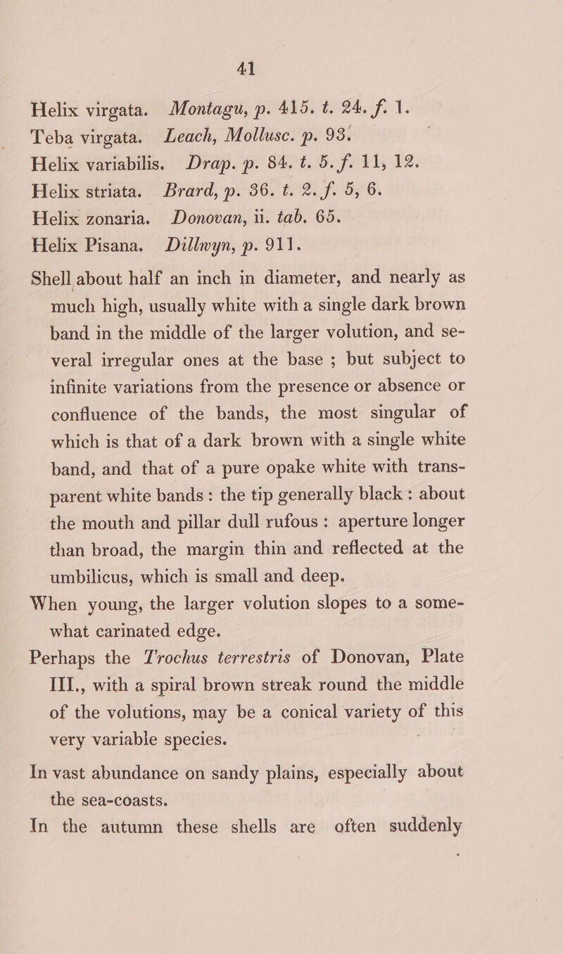 Helix virgata. Montagu, p. 415. t. 24. f. 1. Teba virgata. Leach, Mollusc. p. 93. Helix variabilis. Drap. p. 84. t. 5. f. 11, 12. Helix striata. Brard, p. 36. t. Qf eos Os Helix zonaria. Donovan, ii. tab. 65. Helix Pisana. Dullvyn, p. 911. Shell about half an inch in diameter, and nearly as much high, usually white with a single dark brown band in the middle of the larger volution, and se- veral irregular ones at the base ; but subject to infinite variations from the presence or absence or confluence of the bands, the most singular of which is that of a dark brown with a single white band, and that of a pure opake white with trans- parent white bands : the tip generally black : about the mouth and pillar dull rufous : aperture longer than broad, the margin thin and reflected at the umbilicus, which is small and deep. When young, the larger volution slopes to a some- what carinated edge. Perhaps the TJ'rochus terrestris of Donovan, Plate III., with a spiral brown streak round the middle of the volutions, may be a conical variety of this very variable species. In vast abundance on sandy plains, especially about the sea-coasts. In the autumn these shells are often suddenly