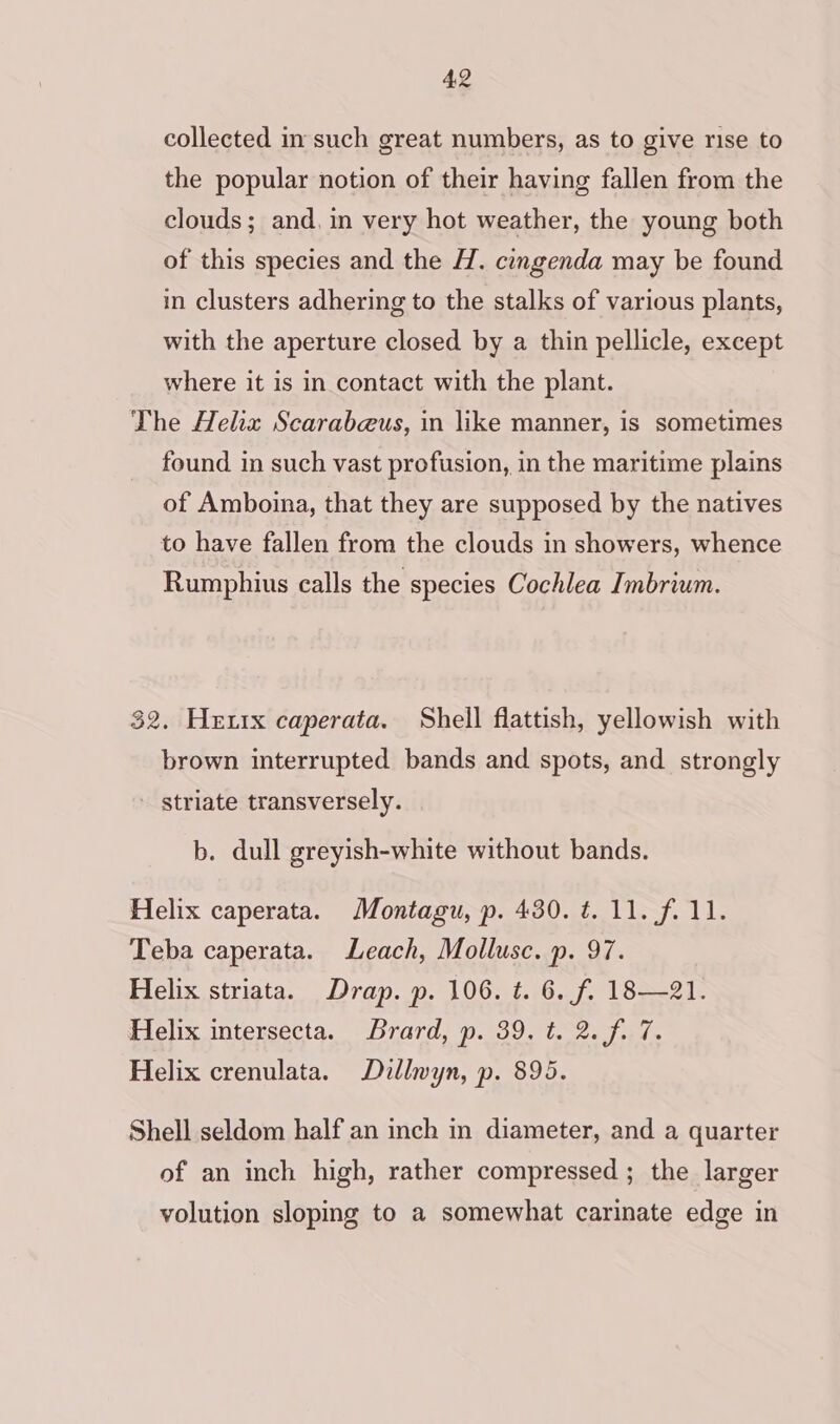 collected in such great numbers, as to give rise to the popular notion of their having fallen from the clouds; and, in very hot weather, the young both of this species and the H. cingenda may be found in clusters adhering to the stalks of various plants, with the aperture closed by a thin pellicle, except where it is in contact with the plant. The Helix Scarabeus, in like manner, is sometimes found in such vast profusion, in the maritime plains of Amboina, that they are supposed by the natives to have fallen from the clouds in showers, whence Rumphius calls the species Cochlea Imbrium. 32. Heutx caperata. Shell flattish, yellowish with brown interrupted bands and spots, and strongly - striate transversely. b. dull greyish-white without bands. Helix caperata. Montagu, p. 430. t. 11. f. 11. Teba caperata. Leach, Mollusc. p. 97. Helix striata. Drap. p. 106. t. 6. f. 18—21. Helix intersecta. Brard, p. 39, t. 2. fi 7. Helix crenulata. Dillwyn, p. 895. Shell seldom half an inch in diameter, and a quarter of an inch high, rather compressed ; the larger volution sloping to a somewhat carinate edge in