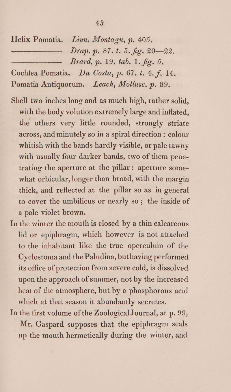 Helix Pomatia. Linn, Montagu, p. 405. Drap. p. 87. t. 5. fig. 20—22. Brard, p. 19, tab. 1. fig. 5. Cochlea Pomatia. Da Costa, p. 67. t. 4. f. 14. Pomatia Antiquorum. Leach, Mollusc. p. 89. Shell two inches long and as much high, rather solid, with the body volution extremely large and inflated, the others very little rounded, strongly striate across, and minutely so in a spiral direction : colour whitish with the bands hardly visible, or pale tawny with usually four darker bands, two of them pene- trating the aperture at the pillar: aperture some- what orbicular, longer than broad, with the margin thick, and reflected at the pillar so as in general to cover the umbilicus or nearly so; the inside of a pale violet brown. ; In the winter the mouth is closed by a thin calcareous lid or epiphragm, which however is not attached to the inhabitant like the true operculum of the Cyclostoma and the Paludina, but having performed its office of protection from severe cold, is dissolved upon the approach of summer, not by the increased heat of the atmosphere, but by a phosphorous acid which at that season it abundantly secretes. In the first volume of the Zoological Journal, at p. 99, Mr. Gaspard supposes that the epiphragm seals up the mouth hermetically during the winter, and