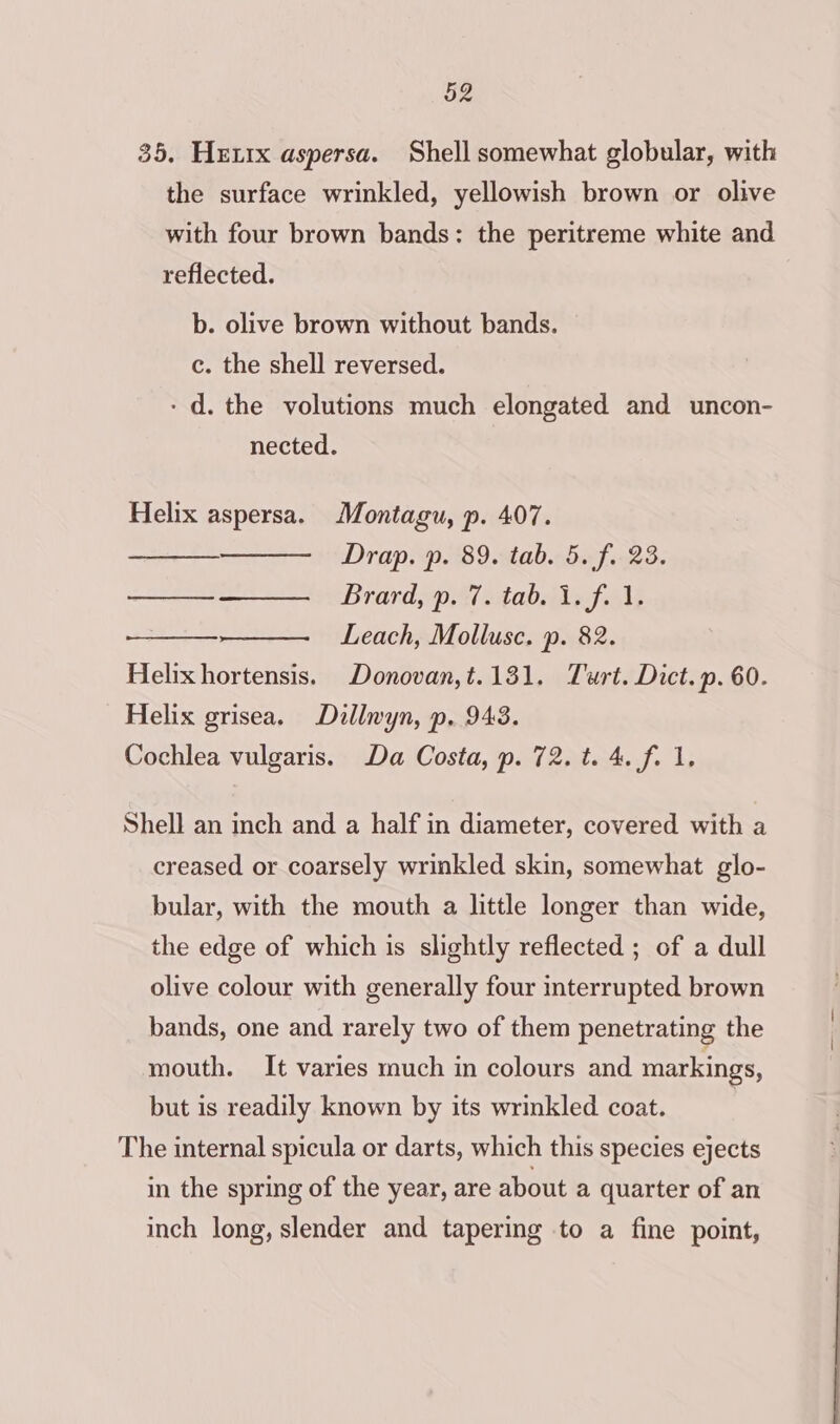 35. Hexix aspersa. Shell somewhat globular, with the surface wrinkled, yellowish brown or olive with four brown bands: the peritreme white and reflected. b. olive brown without bands. c. the shell reversed. - d. the volutions much elongated and uncon- nected. Helix aspersa. Montagu, p. 407. Drap. p. 89. tab. 5. f.. 23. —_————._ Brard, p. 7. tab. 1. f. 1. : Leach, Mollusc. p. 82. Helix hortensis. Donovan,t.131. Twurt. Dict. p. 60. Helix grisea. Dullvyn, p. 943. Cochlea vulgaris. Da Costa, p. 72. t. 4. f. 1. Shell an inch and a half in diameter, covered with a creased or coarsely wrinkled skin, somewhat glo- bular, with the mouth a little longer than wide, the edge of which is slightly reflected ; of a dull olive colour with generally four interrupted brown bands, one and rarely two of them penetrating the mouth. It varies much in colours and markings, but is readily known by its wrinkled coat. The internal spicula or darts, which this species ejects in the spring of the year, are about a quarter of an inch long, slender and tapering to a fine point,