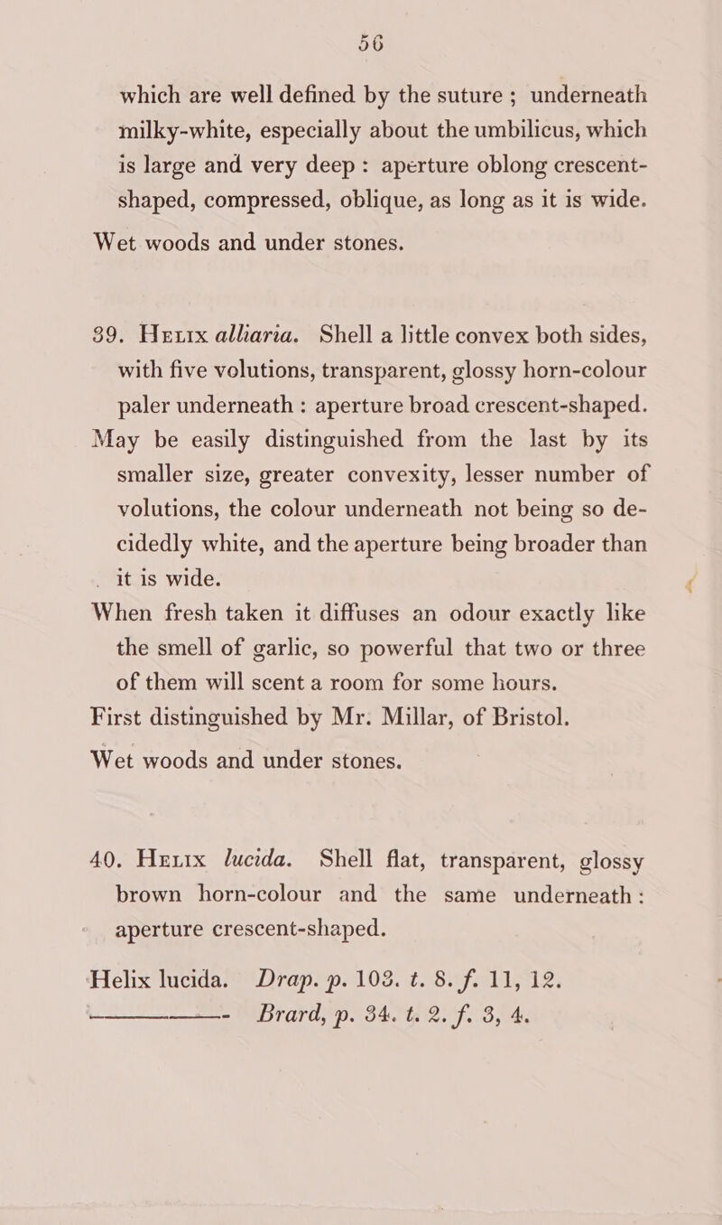 which are well defined by the suture ; underneath milky-white, especially about the umbilicus, which is large and very deep: aperture oblong crescent- shaped, compressed, oblique, as long as it is wide. Wet woods and under stones. 89. Hettx alliaria. Shell a little convex both sides, with five volutions, transparent, glossy horn-colour paler underneath : aperture broad crescent-shaped. May be easily distinguished from the last by its smaller size, greater convexity, lesser number of volutions, the colour underneath not being so de- cidedly white, and the aperture being broader than _ it is wide. When fresh taken it diffuses an odour exactly like the smell of garlic, so powerful that two or three of them will scent a room for some hours. First distinguished by Mr. Millar, of Bristol. Wet woods and under stones. 40. Hexzrx lucida. Shell flat, transparent, glossy brown horn-colour and the same underneath : aperture crescent-shaped. Helix lucida. Drap. p. 103. t. 8. f. 11, 12. - Brard, p. 34. t. 2. f. 3, 4.