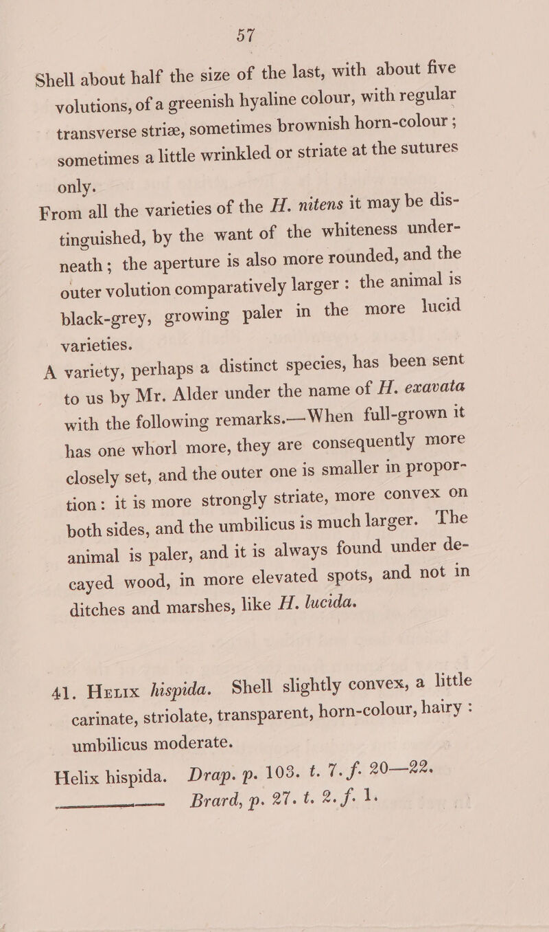 o7 Shell about half the size of the last, with about five volutions, of a greenish hyaline colour, with regular transverse strize, sometimes brownish horn-colour sometimes a little wrinkled or striate at the sutures only. From all the varieties of the H. nitens it may be dis- tinguished, by the want of the whiteness under- neath; the aperture is also more rounded, and the outer volution comparatively larger : the animal is black-grey, growing paler in the more lucid varieties. A variety, perhaps a distinct species, has been sent to us by Mr. Alder under the name of H. exavata with the following remarks.— When full-grown it has one whorl more, they are consequently more closely set, and the outer one is smaller in propor- tion: it is more strongly striate, more convex On both sides, and the umbilicus 1s much larger. The animal is paler, and it is always found under de- cayed wood, in more elevated spots, and not in ditches and marshes, like #7. lucida. 41, Hetrx hispida. Shell slightly convex, a little carinate, striolate, transparent, horn-colour, hairy : umbilicus moderate. Helix hispida. Drap. p. 103. ¢. 7. f. 20—22. _— Brard, p. 27.t. 2.f. 1.