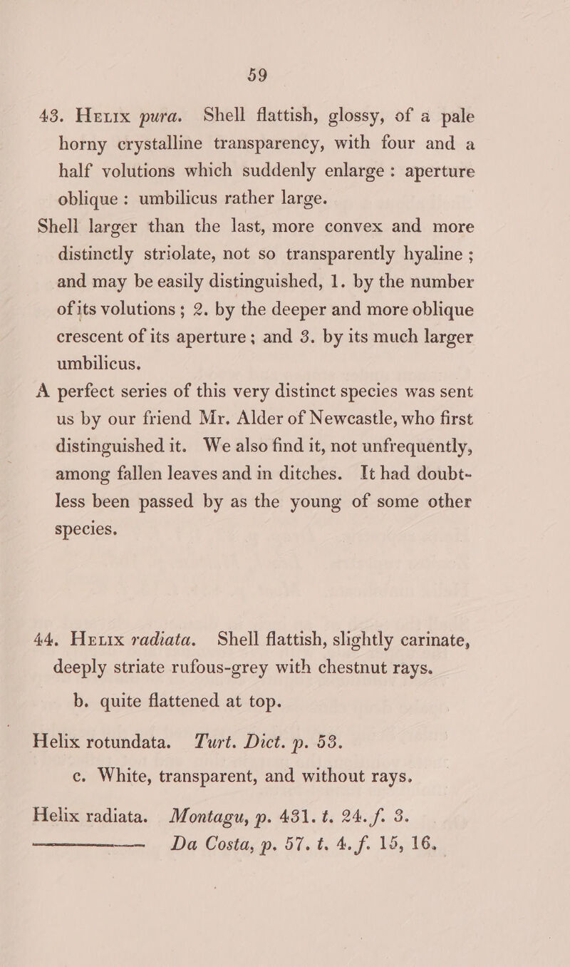43. Hutrx pura. Shell flattish, glossy, of a pale horny crystalline transparency, with four and a half volutions which suddenly enlarge : aperture oblique : umbilicus rather large. Shell larger than the last, more convex and more distinctly striolate, not so transparently hyaline ; and may be easily distinguished, 1. by the number of its volutions ; 2. by the deeper and more oblique crescent of its aperture; and 3. by its much larger umbilicus. A perfect series of this very distinct species was sent us by our friend Mr. Alder of Newcastle, who first distinguished it. We also find it, not unfrequently, among fallen leaves and in ditches. It had doubt- less been passed by as the young of some other species. 44, Hexrx radiata. Shell flattish, slightly carmate, deeply striate rufous-grey with chestnut rays. b. quite flattened at top. Helix rotundata. Turt. Dict. p. 53. c. White, transparent, and without rays. Helix radiata. Montagu, p. 431. t. 24. f0 3. — Da Costa, p. 57. t. 4. f. 15, 16.