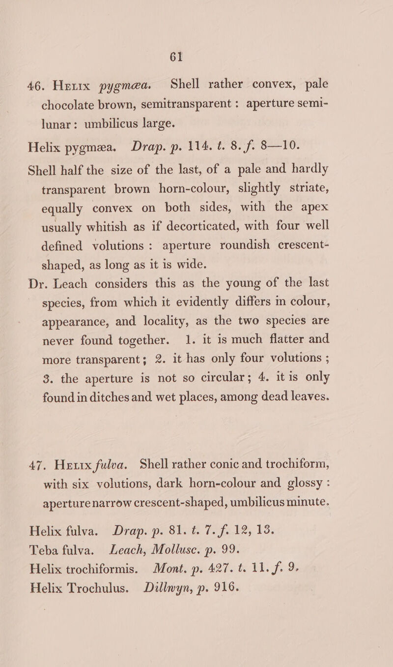 46. Hexix pygmea. Shell rather convex, pale chocolate brown, semitransparent ; aperture semi- lunar: umbilicus large. Helix pygmea. Drap. p. 114. é. 8. f. 8—10. Shell half the size of the last, of a pale and hardly transparent brown horn-colour, slightly striate, equally convex on both sides, with the apex usually whitish as if decorticated, with four well defined volutions : aperture roundish crescent- shaped, as long as it is wide, Dr. Leach considers this as the young of the last species, from which it evidently differs m colour, appearance, and locality, as the two species are never found together. 1. it is much flatter and more transparent; 2. it has only four volutions ; 3. the aperture is not so circular; 4. it is only found in ditches and wet places, among dead leaves. 47. Hewix fulva. Shell rather conic and trochiform, with six volutions, dark horn-colour and glossy : aperture narrow crescent-shaped, umbilicus minute. Helix fulva. Drap. p. 81. t. 7. f. 12, 13. Teba fulva. Leach, Mollusc. p. 99. Helix trochiformis. Mont. p. 427. t. 11. f. 9. Helix Trochulus. Dzllwyn, p. 916.