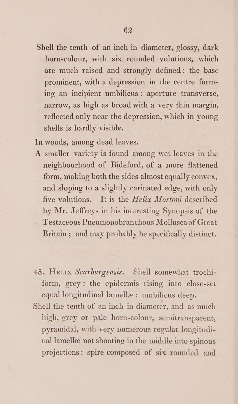Shell the tenth of an inch in diameter, glossy, dark horn-colour, with six rounded volutions, which are much raised and strongly defined: the base prominent, with a depression in the centre form- ing an incipient umbilicus: aperture transverse, narrow, as high as broad with a very thin margin, reflected only near the depression, which in young shells is hardly visible. In woods, among dead leaves. A smaller variety is found among wet leaves in the neighbourhood of Bideford, of a more flattened form, making both the sides almost equally convex, and sloping to a slightly carinated edge, with only five volutions. It is the Helix Mortoni described by Mr. Jeffreys in his interesting Synopsis of the Testaceous Pneumonobranchous Mollusca of Great Britain ; and may probably be specifically distinct. 48. Hxzzrx Scarburgensis. Shell somewhat trochi- form, grey: the epidermis rising into close-set equal longitudinal lamellz : umbilicus deep. Shell the tenth of an inch in diameter, and as much high, grey or pale horn-colour, semitransparent, pyramidal, with very numerous regular longitudi- nal lamellze not shooting in the middle into spinous projections: spire composed of six rounded and