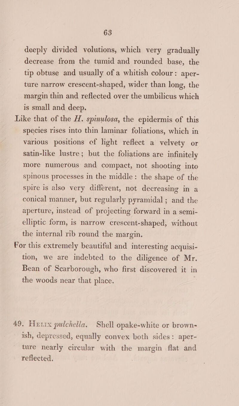 deeply divided volutions, which very gradually decrease from the tumid and rounded base, the tip obtuse and usually of a whitish colour: aper- ture narrow crescent-shaped, wider than long, the margin thin and reflected over the umbilicus which is small and deep. Like that of the H. spinulosa, the epidermis of this species rises into thin laminar foliations, which in various positions of light reflect a velvety or satin-like lustre; but the foliations are infinitely more numerous and compact, not shooting into spinous processes in the middle: the shape of the spire is also very different, not decreasing in a conical manner, but regularly pyramidal ; and the aperture, instead of projecting forward in a semi- elliptic form, is narrow crescent-shaped, without the internal rib round the margin. For this extremely beautiful and interesting acquisi- tion, we are indebted to the diligence of Mr. Bean of Scarborough, who first discovered it in the woods near that place. 49. Hutix pulchella. Shell opake-white or brown- ish, depressed, equally convex both sides: aper- ture nearly circular with the margin flat and reflected.