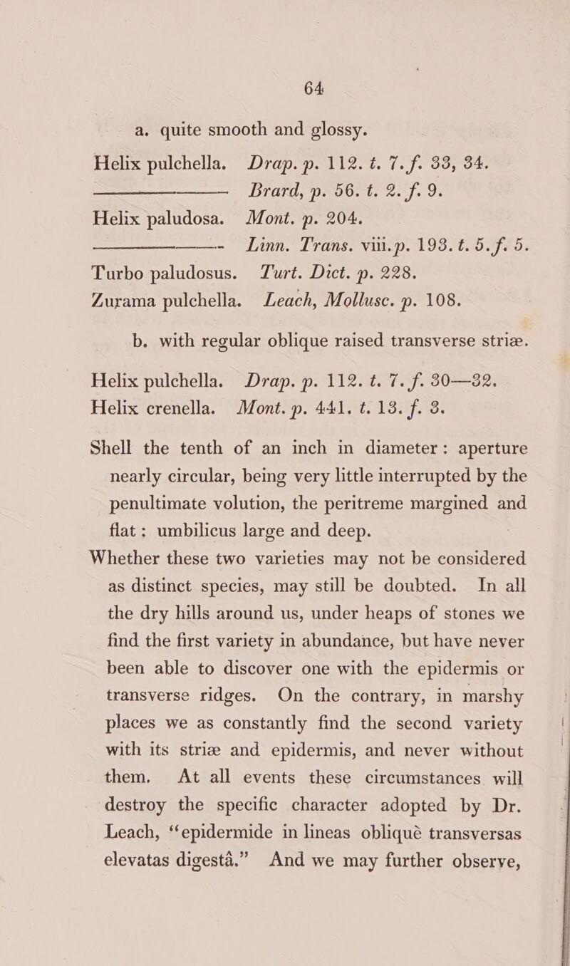 a. quite smooth and glossy. Helix pulchella. Drap. p. 112. ¢. 7. f. 33, 34. — brard; poo. t, 2.f. 9. Helix paludosa. Mont. p. 204. ——- Linn. Trans. vii.p. 193.t. 5.f. 5. Turbo paludosus. Turt. Dict. p. 228. Zurama pulchella. Leach, Mollusc. p. 108. b. with regular oblique raised transverse striz. Helix pulchella. Drap. p. 112. t. 7. f. 30—82. Helix crenella. Mont. p. 441. t.13. f. 3. Shell the tenth of an inch in diameter: aperture nearly circular, being very little interrupted by the penultimate volution, the peritreme margined and flat: umbilicus large and deep. Whether these two varieties may not be considered as distinct species, may still be doubted. In all the dry hills around us, under heaps of stones we find the first variety in abundance, but have never been able to discover one with the epidermis or transverse ridges. On the contrary, in marshy places we as constantly find the second variety | with its striz and epidermis, and never without them. At all events these circumstances. will destroy the specific character adopted by Dr. Leach, “epidermide in lineas obliqué transversas elevatas digesta.” And we may further observe,