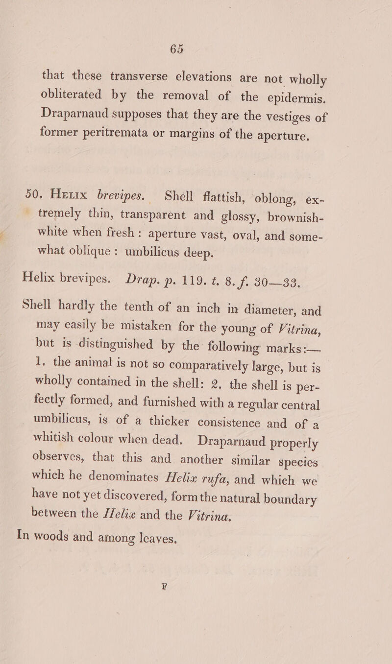 that these transverse elevations are not wholly obliterated by the removal of the epidermis. Draparnaud supposes that they are the vestiges of former peritremata or margins of the aperture, 50. Hetrx brevipes. Shell flattish, oblong, ex- _ tremely thin, transparent and glossy, brownish- white when fresh: aperture vast, oval, and some- what oblique : umbilicus deep. Helix brevipes. Drap. PeAll..8. 7,.30 39. Shell hardly the tenth of an inch in diameter, and may easily be mistaken for the young of Vitrina, but is distinguished by the following marks :— 1, the animal is not so comparatively large, but is wholly contained in the shell: 2. the shell is per- fectly formed, and furnished with a regular central umbilicus, is of a thicker consistence and of a whitish colour when dead. Draparnaud properly observes, that this and another similar species which he denominates Helix rufa, and which we have not yet discovered, form the natural boundary between the Helix and the Vitrina. In woods and among leaves.