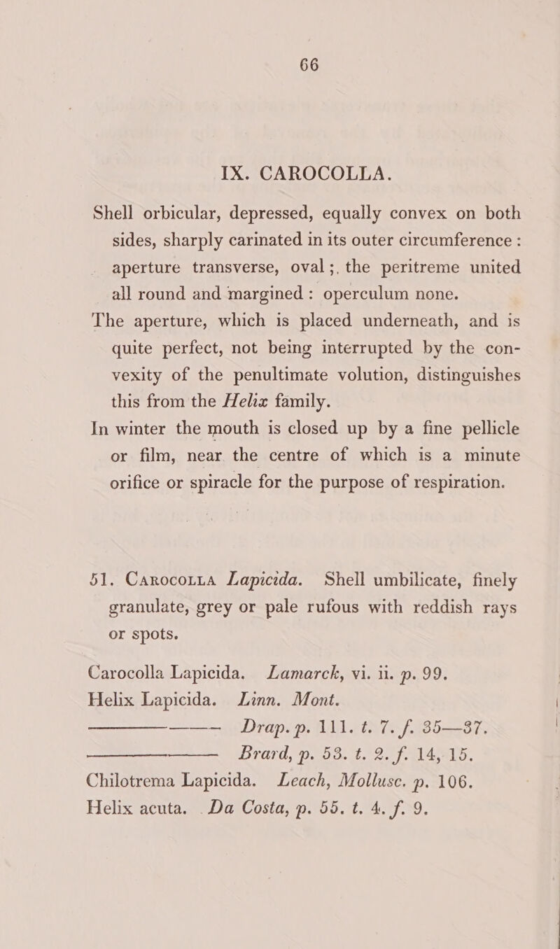 IX. CAROCOLLA. Shell orbicular, depressed, equally convex on both sides, sharply carinated in its outer circumference : aperture transverse, oval;, the peritreme united all round and margined : operculum none. The aperture, which is placed underneath, and is quite perfect, not being interrupted by the con- vexity of the penultimate volution, distinguishes this from the Helix family. In winter the mouth is closed up by a fine pellicle or film, near the centre of which is a minute orifice or spiracle for the purpose of respiration. 51. Carocotta Lapicida. Shell umbilicate, finely granulate, grey or pale rufous with reddish rays or spots. Carocolla Lapicida. Lamarck, vi. it. p. 99. Helix Lapicida. Linn. Mont. —_—_——__——-— Drap.p. 111. t. 7. f. 35—87. —— Brard, p53. t. 2. F.4D. Chilotrema Lapicida. Leach, Mollusc. p. 106. Helix acuta. .Da Costa, p. 55. t. 4. f. 9.