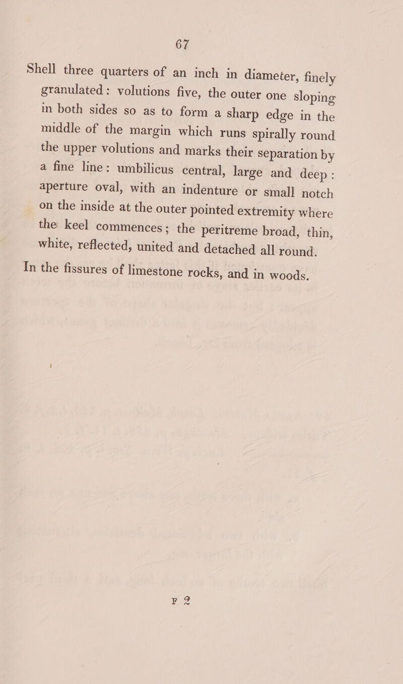 Shell three quarters of an inch in diameter, finely granulated: volutions five, the outer one sloping in both sides so as to form a sharp edge in the middle of the margin which runs spirally round the upper volutions and marks their separation by a fine line: umbilicus central, large and deep: aperture oval, with an indenture or small notch on the inside at the outer pointed extremity where the keel commences; the peritreme broad, thin, white, reflected, united and detached all round. In the fissures of limestone rocks, and in woods.