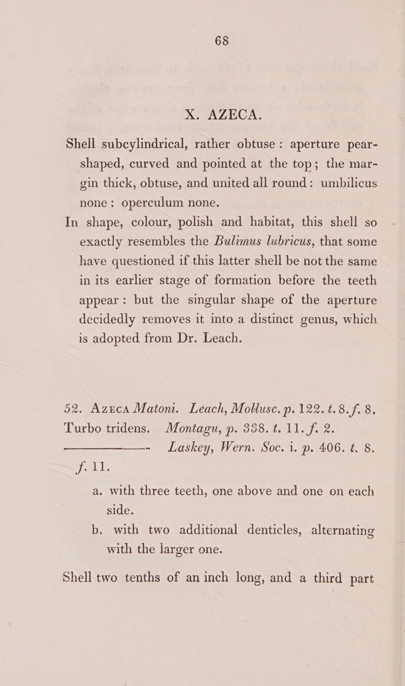 X, AZECA. Shell subcylindrical, rather obtuse: aperture pear- shaped, curved and pointed at the top; the mar- gin thick, obtuse, and united all round: umbilicus none: operculum none. In shape, colour, polish and habitat, this shell so exactly resembles the Bulimus lubricus, that some have questioned if this latter shell be not the same in its earlier stage of formation before the teeth appear: but the singular shape of the aperture decidedly removes it into a distinct genus, which is adopted from Dr. Leach. 52. Azreca Maton. Leach, Mollusc. p. 122. t.8.f. 8. Turbo tridens. Montagu, p. 358.t. 11. f. 2. ——- Laskey, Wern. Soc. i. p. 406. t. 8. ja th a. with three teeth, one above and one on each side. b. with two additional denticles, alternating with the larger one. Shell two tenths of an inch long, and a third part